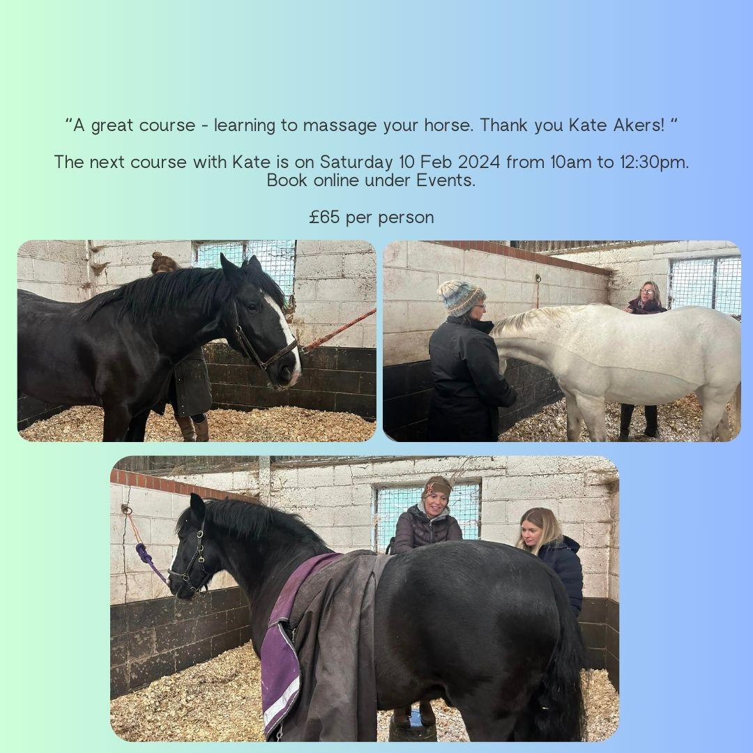 Our popular course Learn to Massage Your Horse with Kate Akers is back on 10/02/24. Come along for a fun & informative morning - the horses will thank you for it! Just £65 per person - book your place with this link -https://www.tickettailor.com/events/moorcroftracehorse