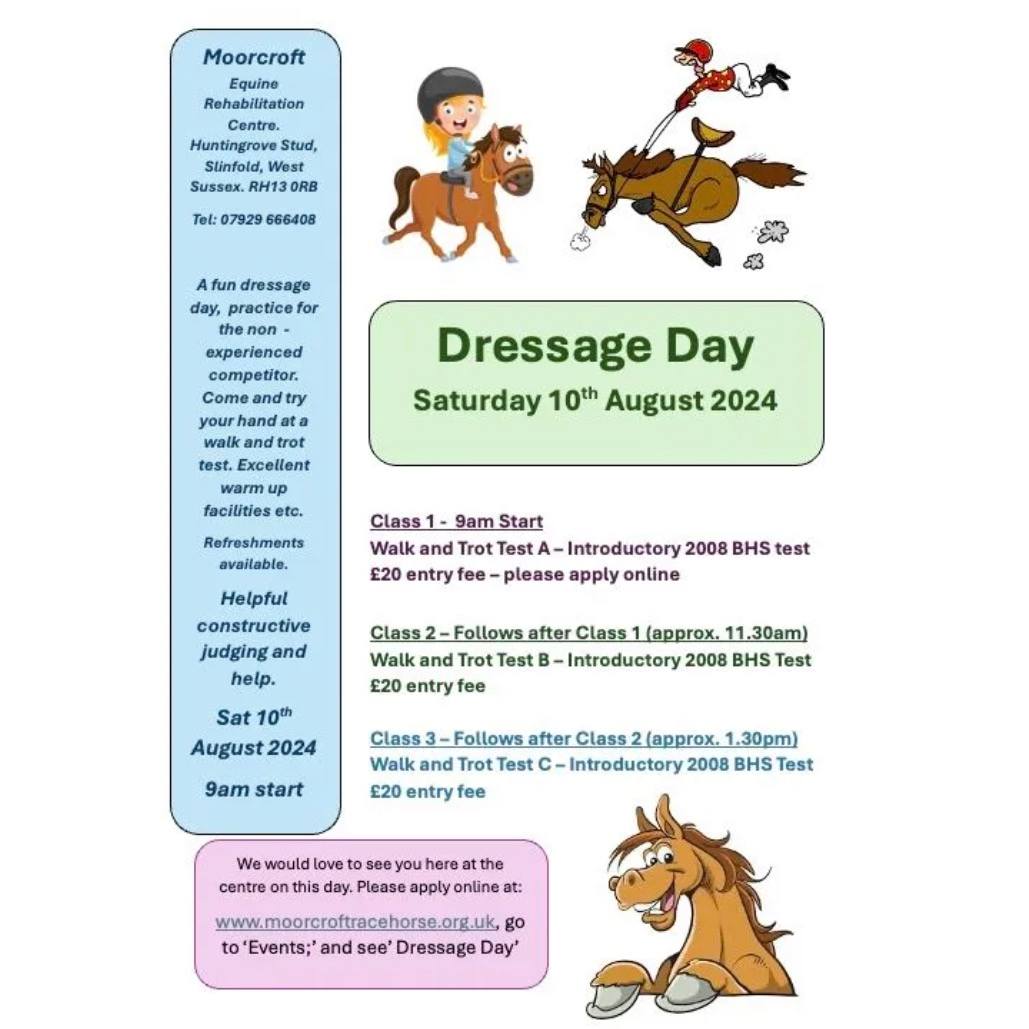 A fun dressage day on Saturday 10 August 2024, practice for the non-experienced competitor. Come and try your hand at a walk and trot test in a relaxed and encouraging atmosphere. Helpful constructive judging and help. You may even win a rosette!
Tests will be conducted in the indoor school - a warm up outdoor school is available.
Book online and please apply online for the Class or Classes that you would like to enter and your specific times will be made available to you nearer the date.
https://www.tickettailor.com/events/moorcroftracehorse