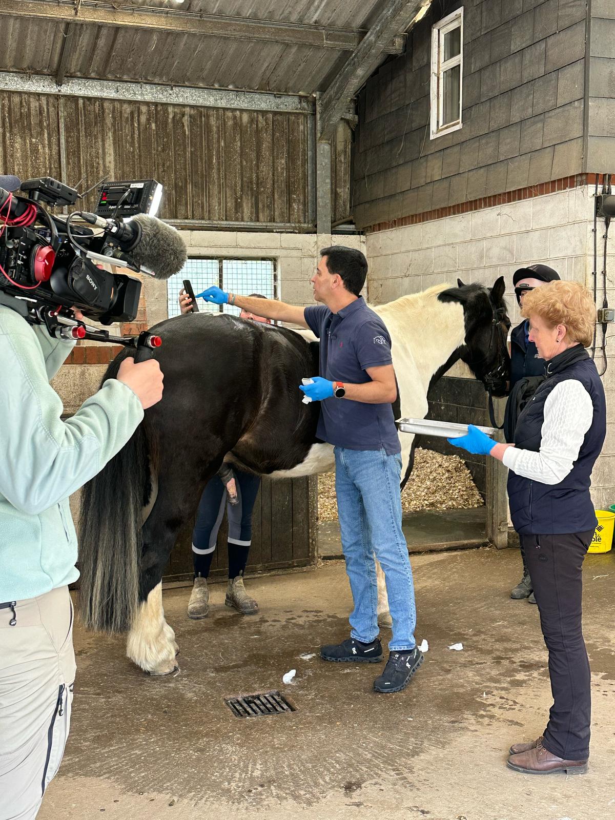 We were thrilled to welcome @itvmeridian to @moorcroftequine yesterday to discuss our unique Platelet-Rich-Plasma (PRP) treatment for horses living with a range of musculoskeletal conditions, such as arthritis. Great to share latest two-year data which shows the significant benefits this high-potency treatment can have. Watch the news this evening to find out more. Huge thanks to our wonderful team, especially our lovely vet @vascoamarovet from @equineveterinaryperformanceuk and wonderful researcher Janet Hadfield from Advanced Biologics Research Ltd. What a team!
#equinevet #equinehealth #horsecare #PRPtherapy #PRPtherapy