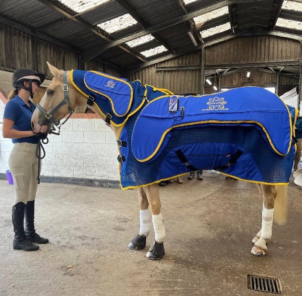 We need your help please...?
We had a very successful Demo/Trial here at the Charity on Saturday with Sean from @cyclossageequinemassagesystem . Two horses benefitted from the use of a cyclo-ssage unit where they received a treatment for half an hour. It is designed to relieve tightness and discomfort in the body and, as you can see from the photo below, it covers all major muscle groups and areas of the horse that can get tight and sore.
Mary, Niamh and Tilly, the Team at the centre really want to obtain one of these units so we can go on helping each horse that comes our way. We need to raise £5,000 and we would really welcome your help to raise this. ANYTHING you can offer will help us achieve this. This unit will go on healing and helping for many years so we feel it is money well worth investing. Please give generously and thank you so much for your support.
You can donate using this link or contact Mary directly - https://www.justgiving.com/campaign/cyclossage-fundraiser
#charitysupport #healinghorses #equinerehabilitation #equine #equinetherapy by