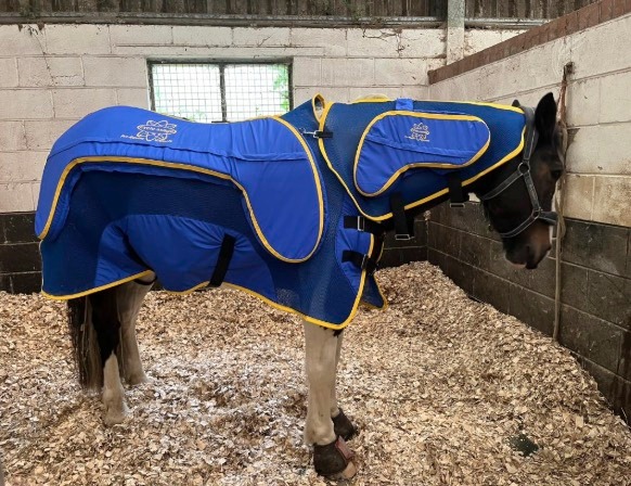 We would like to say a massive THANK YOU to all the kind and generous people who supported us and helped contribute to our brand new Cyclo-ssage Equine Massage System rug. We are finding it incredibly helpful in so many ways. Here are a couple of our lovely residents showing some of the benefits of the rug so far…
Herbie is an arthritic cob who has tightness throughout his entire body. This photo demonstrates him long-reining comfortably, thanks to the benefits of the Cyclo-ssage which is able to fully stretch over his neck and back.
Percy is an ex-racehorse with a challenging past and many diagnosed issues that we are managing with veterinary help. He carries a lot of tension. The @cyclossageequinemassagesystem has enabled him to feel more comfortable in his body and more relaxed both in and out of the stable, falling asleep as soon as we put it on him!
#equinehealth #equinemassage #equinerehab #equinemassagetherapy