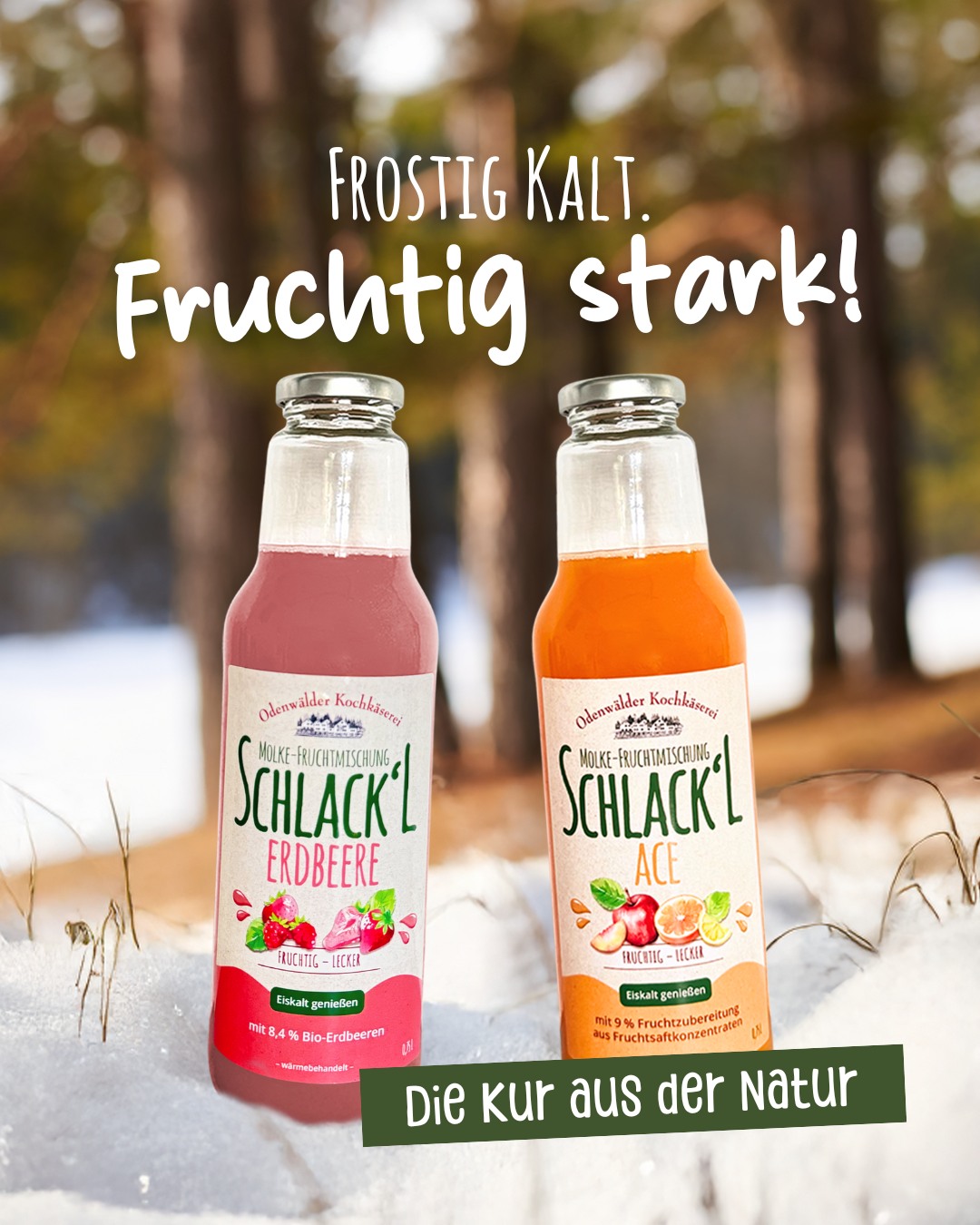 Neues Jahr. Gesunder Genuss. SCHLACK’L ??
Unsere SCHLACK’L Molke-Fruchtmischungen sind die Kur aus der Natur: leicht, bekömmlich und voller Geschmack. Die Kombination aus traditioneller Sauermolke und fruchtiger Zubereitung in den Sorten Erdbeere und ACE wirkt entschlackend, ist proteinreich und passt perfekt zu einem bewussten Genuss.
Ob pur und gut gekühlt oder als erfrischende Schorle – unser SCHLACK’L bringt natürliche Frische in deinen Alltag. Natürlich handgemacht, ohne Zusatzstoffe und mit der ganzen Kraft der Molke. ?