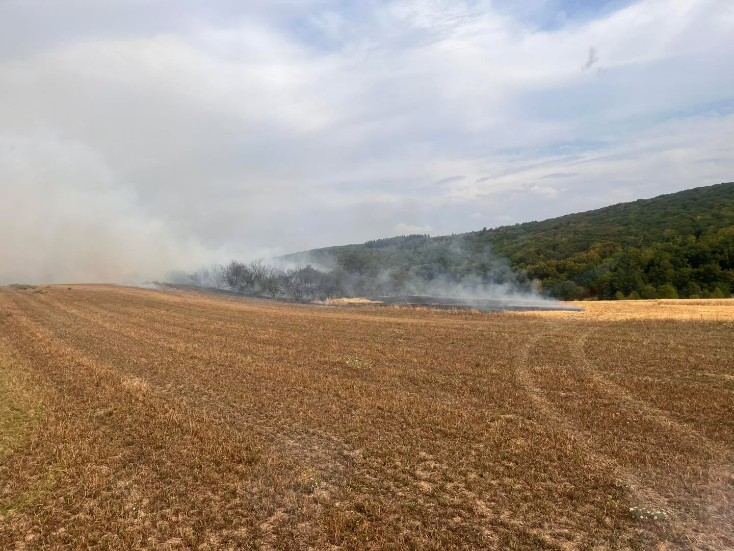 +++ E I N S A T Z I N F O +++
Um kurz vor 17:00 Uhr wurden wir zusammen mit der Freiwillige Feuerwehr Kraftsolms und der Freiwillige Feuerwehr Hasselborn in die Feldgemarkung zwischen Brandoberndorf und Cleeberg alarmiert.
Bei Erntearbeiten kam es zu einem Feuer, das von dem Acker bereits auf ein kleines Waldstück übergegriffen hatte.
Bereits auf der Anfahrt wurde die Freiwillige Feuerwehr Kröffelbach mit der Spezialausrüstung für Vegetationsbrände und zusätzliches Löschwasser, der Feuerwehr Braunfels und der Feuerwehr Wetzlar nachgefordert.
Bei Eintreffen hatten Landwirte bereits durch Grubbern verhindert, dass ich das Feuer im Feld weiter ausbreiten. Die Löscharbeiten beschränken sich somit auf das kleine Waldstück und einen Hochsitz..
Nach 1 Stunde war das Feuer soweit unter Kontrolle. Die Nachlöscharbeiten dauerten bis 19.30 Uhr.
Insgesamt waren 3000 m² Vegetation, sowie ein Hochsitz und landwirtschaftliches Gerät betroffen.
Wie auch vor zwei Wochen in Kraftsolms konnte durch das schnelle eingreifen von Feuerwehr und Landwirten ein größerer Brand verhindert werden.
#waldsolms112 #WirfürWaldsolms #freiwilligefeuerwehr #gemeinsamstark