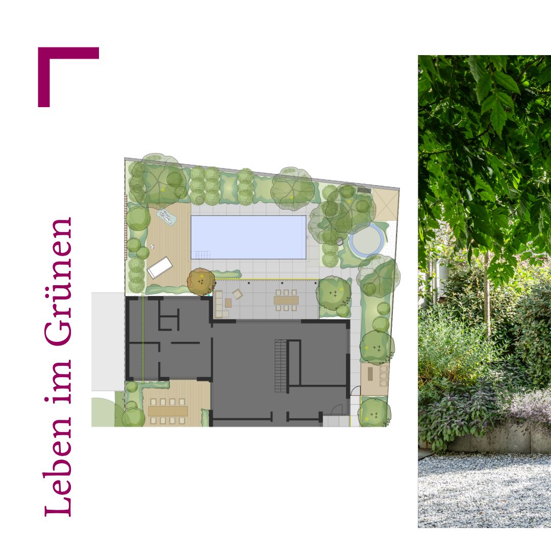 Leben im Grünen.
Klare Architektur, geradlinige Formen – und mittendrin jede Menge Grün.
In diesem Garten treffen moderne Materialien auf eine üppige, fast schon verwunschene Bepflanzung. Unterschiedliche Blattformen, Farben und Texturen schaffen Tiefe und lassen den Garten trotz seiner klaren Gestaltung wunderbar lebendig wirken.
Der Pool fügt sich dabei ganz selbstverständlich ins Gesamtbild ein – umgeben von Gräsern, Hortensien, Bambus und charaktervollen Gehölzen entsteht ein geschützter Rückzugsort, der sich beinahe wie ein kleines grünes Refugium anfühlt.
Ein Garten zum Eintauchen, Abschalten und einfach Draußensein.
-----------------------------------------------
Planung: Christoph Rabl
Fotograf: Ferdinand Graf Luckner
#lebenimgrünen #gartendesign #poolgarten #majuntke #majuntkegärtnervoneden #gärtnervoneden #mainburg #hallertau