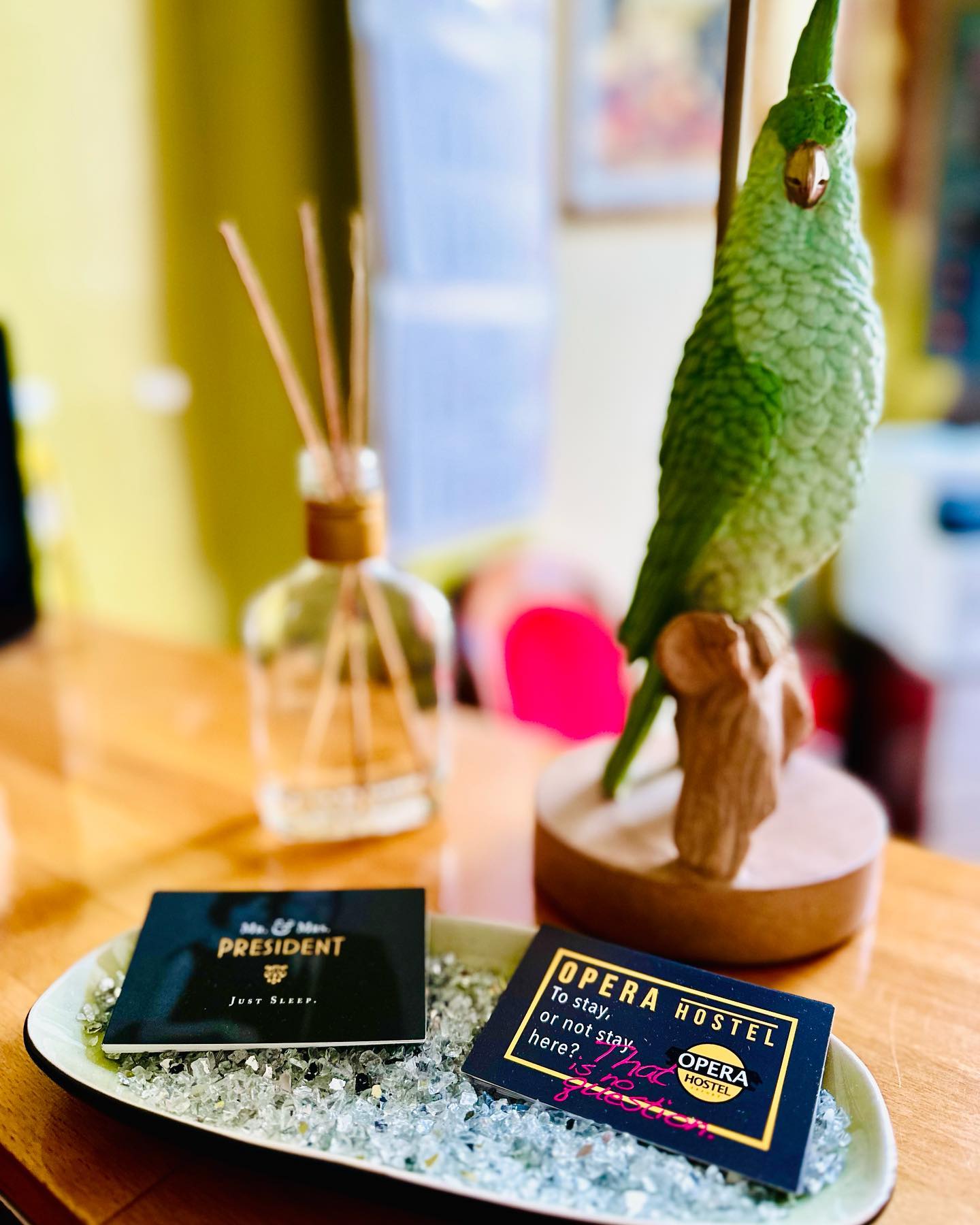 JOIN US… ?
➡️ @opera.hostel.erfurt
➡️ @mr.mrs.president