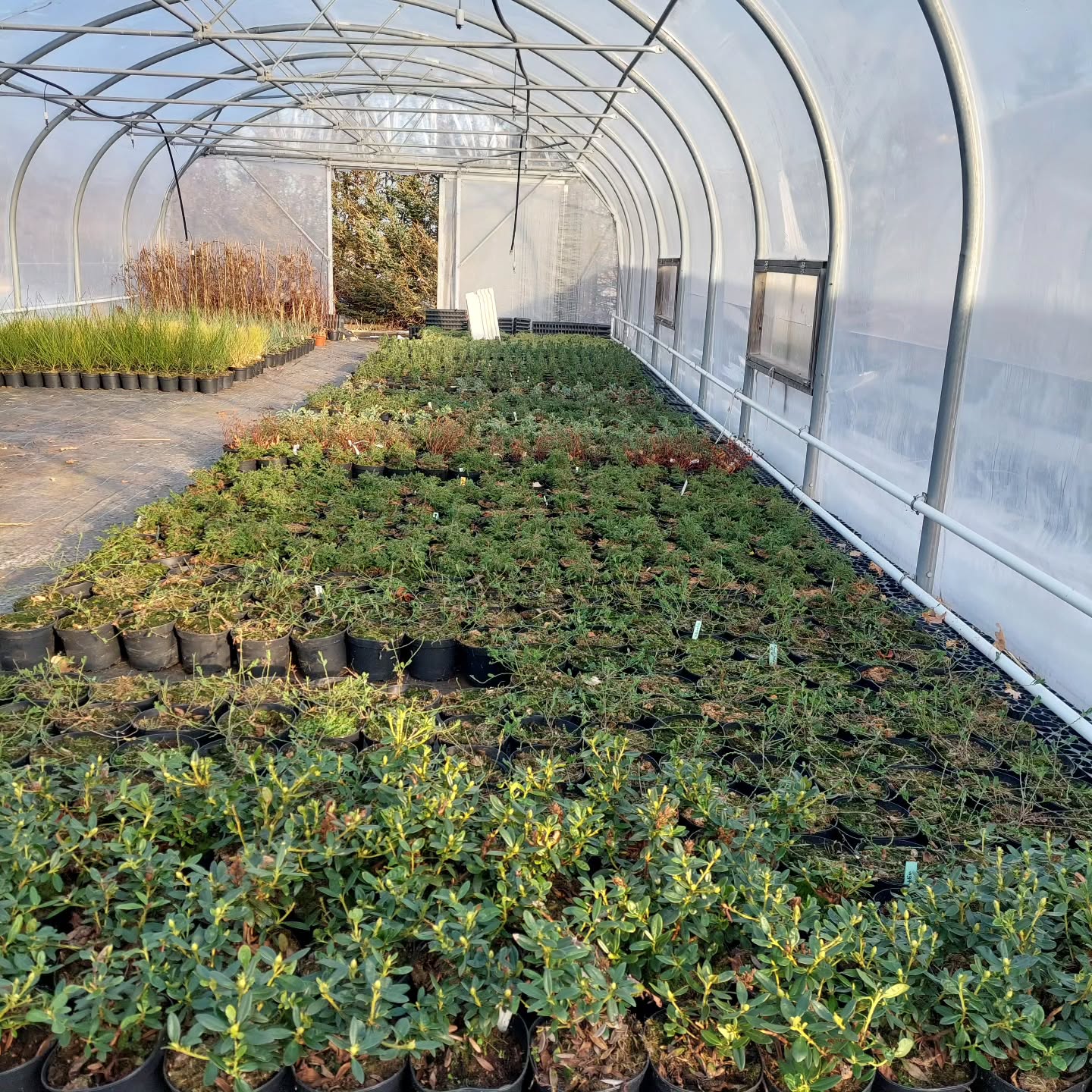 Nýraðað í gróðurhúsin eftir vorhreingerningu, nú má vorið koma ?
#sólskógar #solskogar #íslenskframleiðsla #íslensktjátakk