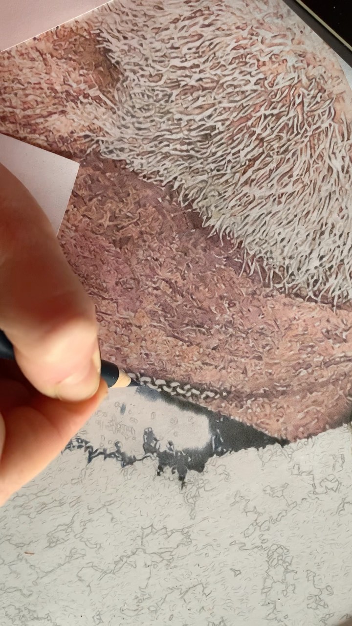Next part, new texture
.
.
.
.
#workinprogressart #coloredpencildrawing #coloredpencilart #worldofpencils #fabercastellpolychromos #fabercastellpencils #polychromospencils #tombow #unbezahltewerbung #arnoldschwarzenegger #schwarzenegger #realisticart #realisticdrawing #portraitartists #portraitdrawings #buntstift #buntstifte #buntstiftzeichnung #topenga #topengaart