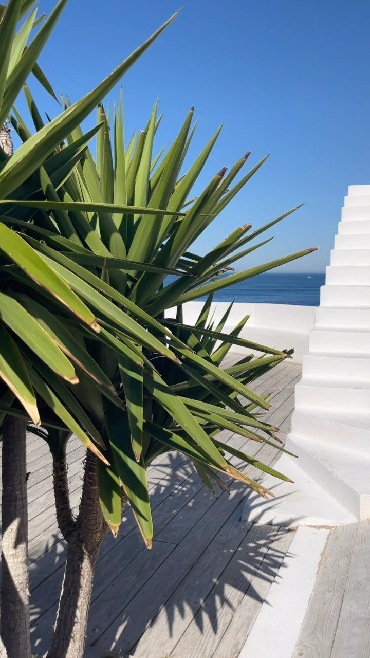 Parce que notre métier c’est aussi de vous faire découvrir des lieux incroyables ! ☀️
Ne tardez us, contactez-nous ? !
#pco #agenceevenementielle #professionnel #aixenprovence #marseille #france #seminaire #teambuilding #conference #evenementdentreprise #entreprise #picoftheday