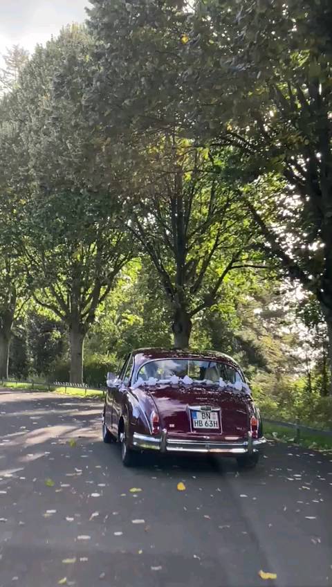 Magical autumn wedding ? ?
.
.
#wedding #Hochzeit #Hochzeitsauto #Hochzeit2022 #kirche #trauung #Brautauto #weddingcar #weddingphotography #amazing #bestdayinlife #happy #love #bride #beautiful #heiraten #mrandmrs #brideandgroom #justmarried #instabride #weddinginspo #bride #instawedding #brautundbräutigam #oldtimer #jaguar #jaguarmk2 #jaguarmkII #jaguarclassic