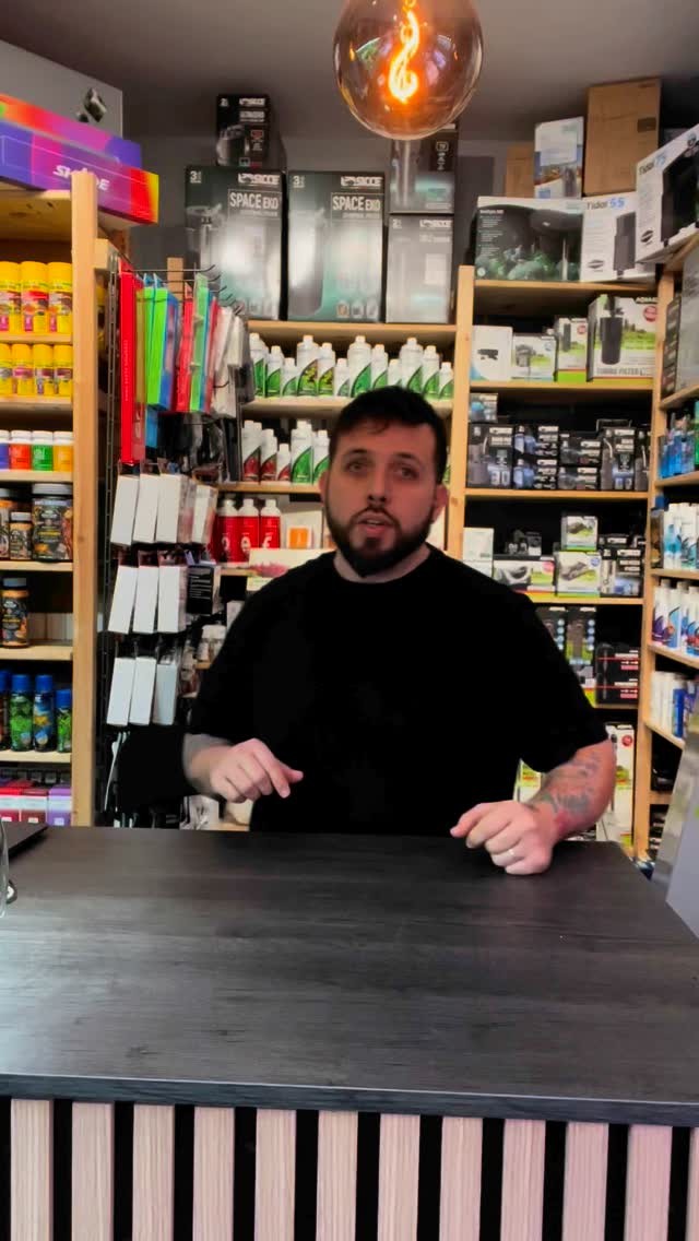 Que la cosa continúe!! ???
〰️〰️〰️〰️〰️〰️〰️
✅Trabajando duro para ser tu mejor opción
〰️〰️〰️〰️〰️〰️〰️
? Plaza La Constitución 3, Alcorcón, Madrid.
〰️〰️〰️〰️〰️〰️〰️
? www.aquasalvaje.com
〰️〰️〰️〰️〰️〰️〰️
#aquasalvaje #aquarium #madrid #alcorcon #aquascaping #aquascape #aquariumdesign #acuarioplantado #aquariumhobby #aquascaper #acuario #acuarios #acuariofilia #acuario♒ #acuariofiliaespaña #acuariofiliamadrid #acuarioplantado #desing #natureaquarium #natureaquascape #natureaquariums #naturelovers #good