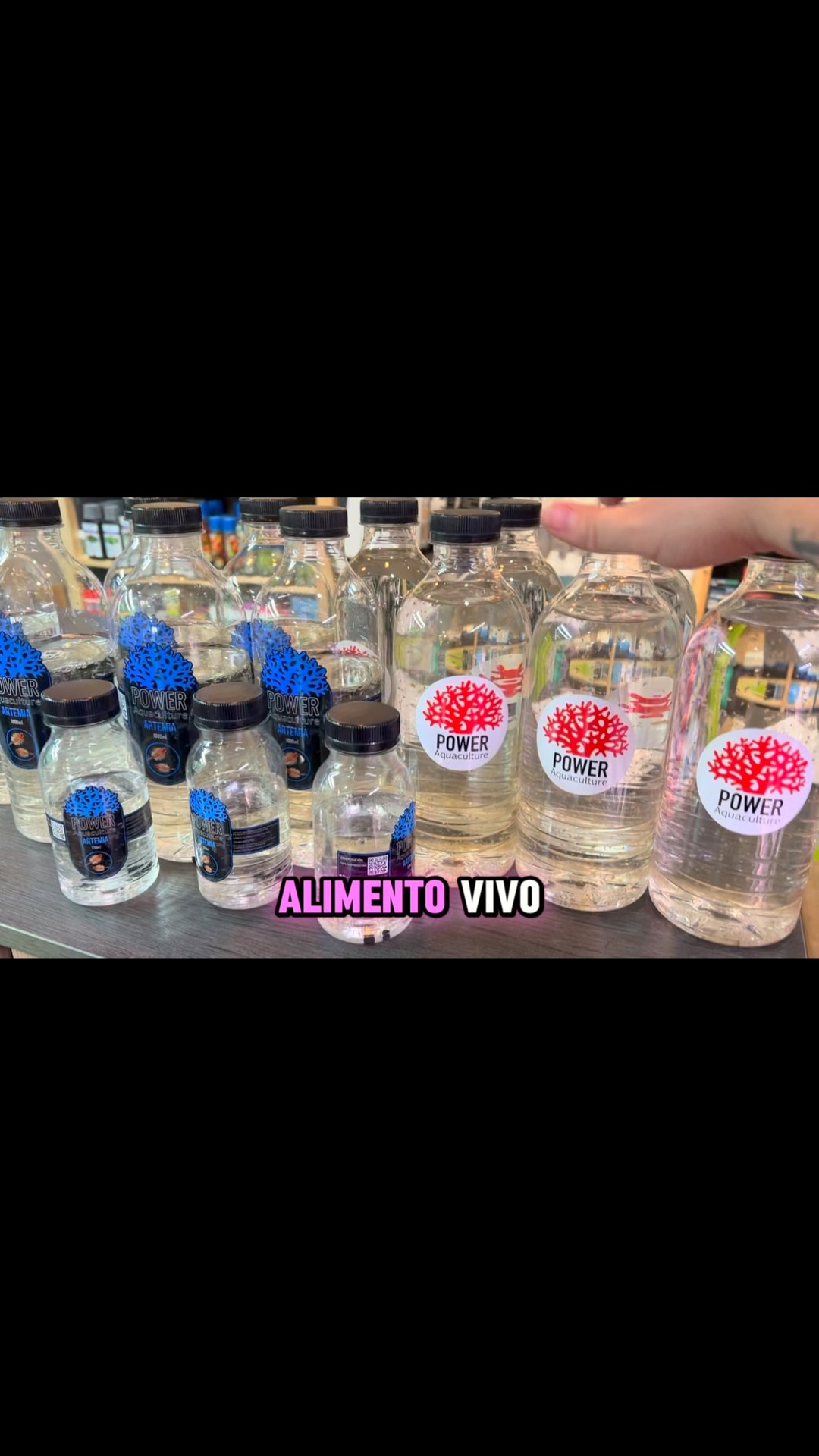 Como cada miércoles, traemos vuestros encargos de alimento vivo ??
〰️〰️〰️〰️〰️〰️
✅ Trabajando duro para ser vuestra mejor opción.
〰️〰️〰️〰️〰️〰️
? Plaza La Constitución 3, Alcorcón.
〰️〰️〰️〰️〰️〰️
? www.aquasalvaje.com
〰️〰️〰️〰️〰️〰️
#aquasalvaje #aquarium #madrid #alcorcon #aquascaping #aquascape #aquariumdesign #acuarioplantado #aquariumhobby #aquascaper #acuario #acuariofilia #acuariomarino #acuarioplantado #acuariosnaturales