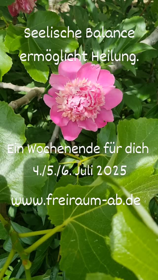 Krankheiten bringen Botschaften, die uns zeigen, dass es etwas gibt, womit wir nicht in Balance sind. Sie sind Einladung und Chance zur Heilung. Begegne auf Schamanischen Reisen wertvollen Impulsgebern, die dich begreifen lassen, was dir in Wahrheit gut tut.
Wir starten am Freitag um 15 Uhr in der Buchackerstraße 4 in 63867 Breunsberg.
#johannesberg #schamanischesreisen #selbstliebe #schöpferkraft #verbindung #schamanischeausbildung #energie