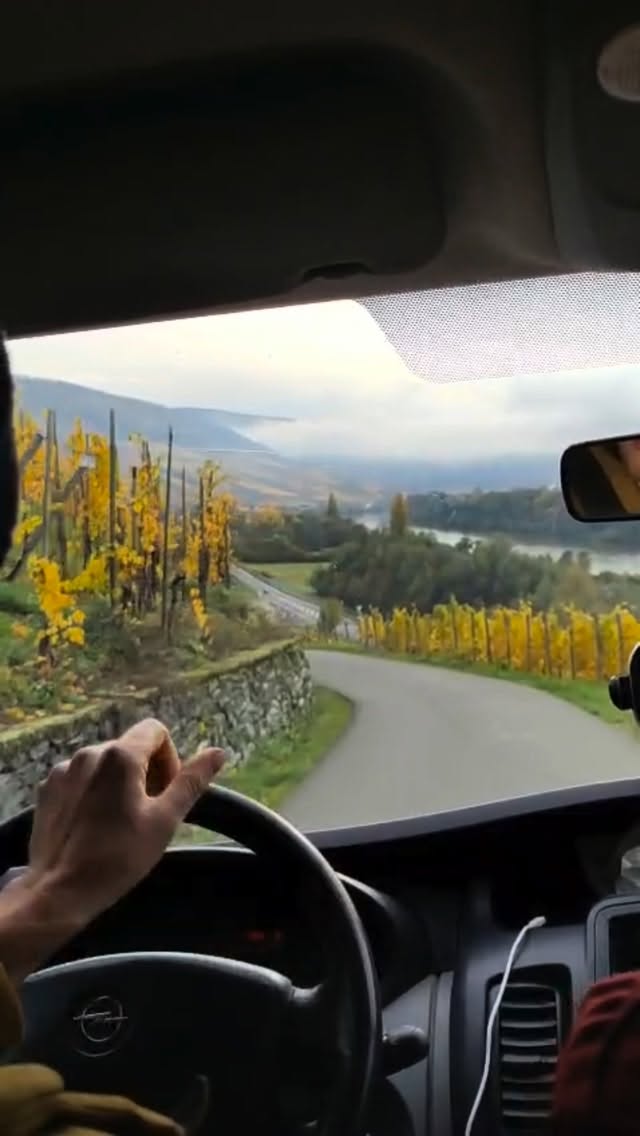 Wir waren an der Mosel!
Jedes Jahr fahren wir mit unserem Team in ein deutsches Weinbaugebiet, um andere Weingüter zu besuchen und uns weiterzubilden. Dieses Jahr ging unser Betriebsausflug an die Mosel.
Unser Fazit: Von klein bis groß, von trocken bis Pradikat, von klassisch bis modern - unsere zwei Tage an der Mosel haben uns bewiesen, dass die Region nicht ohne Grund ihren renommierten Ruf hat.
Wir nehmen viele Eindrücke, Inspiration und neue Energie mit für das, was wir lieben: großartige Weine zu schafien.
Danke an die 5 Weingüter, die sich Zeit für uns genommen haben - ihr seid jederzeit willkommen bei uns ?
@karthaeuserhof
@maximingruenhaus
@van_volxem
@jjpruem
Willi Schäfer
#mosel #moselwein #vdp #vdp_wasfuerweine #vdpwein #betriebsausflug #steilhang #riesling