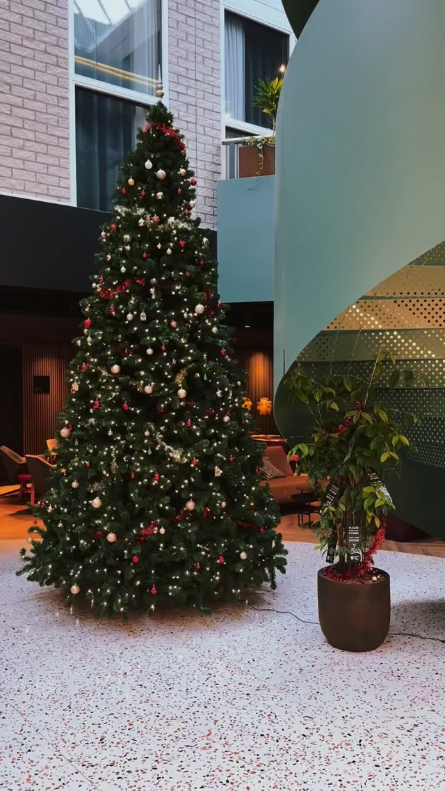 ? Merry Christmas from The Florian Team! ?
This is the time of year to look back with gratitude and celebrate all the love and memories we’ve shared together. ? Without you, our guests, we wouldn’t be where we are today — thank you for your support, trust, and smiles! ?
We hope your festive days are filled with warmth, joy, and laughter, and we can’t wait to keep creating unforgettable memories with you in the year ahead. ?
#TheFlorianHotel #MerryChristmas #FestiveVibes #GratefulHeart #CreatingMemories