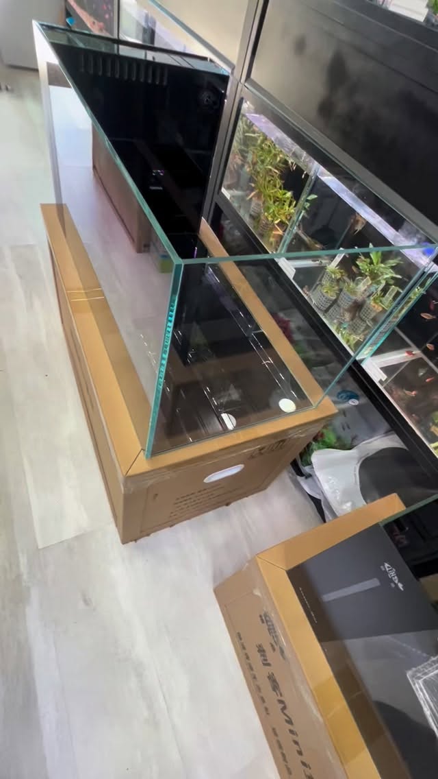 Cristal óptico | Filtración completa | Diseño premium
El Acuario Isla 80 es una urna de alta gama diseñada para quienes buscan un sistema compacto, elegante y completamente funcional. Fabricado en cristal óptico de 10 mm y con un sump integrado en cristal lacado negro, ofrece una estética limpia, moderna y perfecta para acuarios plantados, marinos de baja carga o gambarios avanzados.
Su sistema de filtración interno es silencioso, eficiente y viene totalmente equipado para funcionar desde el primer día
⭐ Características principales
? Dimensiones y materiales
Medidas: 80 × 40 × 40 cm
Cristal óptico 10 mm → máxima transparencia y resistencia
Fondo en cristal lacado negro
Sump integrado completamente construido en cristal lacado negro
Tapa de sump en metacrilato negro
Tapa antisaltos de rejilla transparente incluida
⚙️ Sistema de filtración (completo y profesional)
? Para un rendimiento óptimo, combina el sump con material biológico extra o Purigen, y ajusta la salida “pico paco” para crear un flujo suave ideal para plantas y gambas.
〰️〰️〰️〰️〰️〰️〰️〰️〰️〰️
#aquasalvaje #aquascaping #aquascape #madrid #alcorcon #aquarium #acuarioplantado #aquariumhobby #aquariumdesign #aquascaper