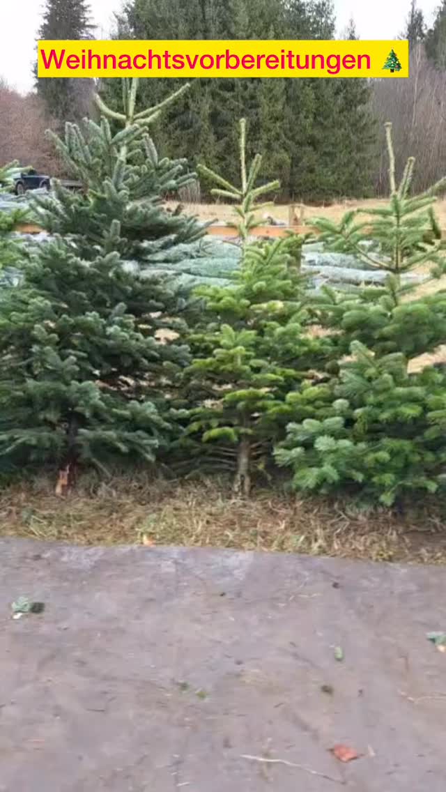 Frohen 2. Advent Euch ?️?️
Die Weihnachtsvorbereitungen schreiten voran. ? Habt Ihr auch schon einen Weihnachtsbaum?
@tannenhof.kaplick danke für die schöne Atmosphäre beim Baumkauf ☺️
@olliklein
#Weihnachtsvorbereitungen #Weihnachtsbaum #Nürtingen