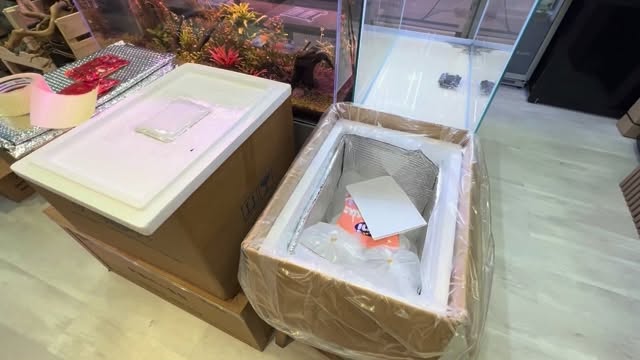 ?? Así preparamos nuestros envíos de peces ??
Porque para nosotros su bienestar es lo primero ?
✅ Bolsas especiales de transporte
✅ Oxigenación correcta
✅ Temperatura controlada ?❄️
✅ Protección extra para el viaje
✅ Empaquetado seguro y profesional
?? Cada pez viaja con el máximo cuidado, desde nuestra tienda hasta tu acuario
?? Para que llegue sano, fuerte y sin estrés
? Envíos a domicilio
? Disponible también en tienda física
? ¿Tienes dudas? Escríbenos
#enviosvivos #enviopeces #empaquetadoprofesional
#bienestaranimal #acuarios #acuariofilia
#fishshipping #aquariumlife #aquascaping
#pezornamental #acuariofilo #acuarismo
#tiendadeacuarios #envioseguros #fishcare
#aquasalvaje #acuarioenviado #envios24h
#hechoconcariño #aquariumshop #aquaticlife