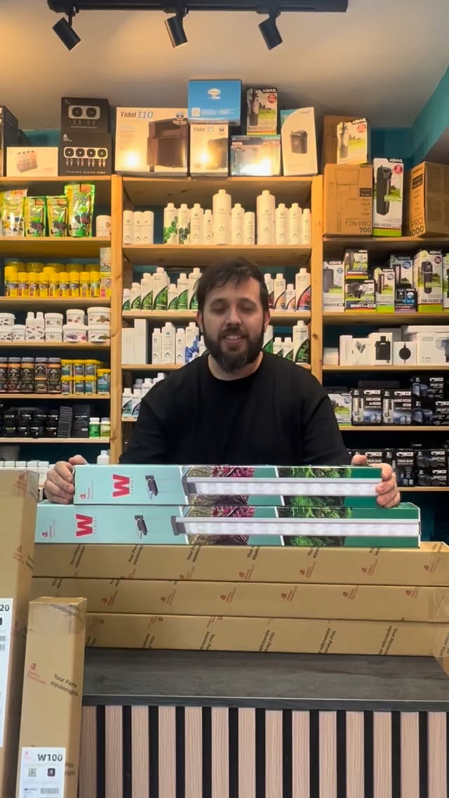 ✨ SERIE W DE CHIHIROS – POTENCIA Y DISEÑO PARA AQUASCAPING ✨
? Iluminación LED de alto rendimiento
? Espectro perfecto para plantas
? Colores naturales y vibrantes
? Control inteligente por Bluetooth
? Diseño elegante y minimalista
La Serie W de Chihiros es la elección ideal para llevar tu acuario plantado al siguiente nivel, tanto si buscas crecimiento espectacular como una estética impecable.
? Disponible en varios tamaños
? Usada por aquascapers de todo el mundo
? En tienda física y online
? ¿Cuál es tu modelo favorito?
#Chihiros
#ChihirosSerieW
#SerieW
#Aquascaping
#AcuariosPlantados
#Acuariofilia
#PlantedTank
#AquascapeLife
#IluminacionLED
#AquascapingSpain
#Aquasalvaje
#aquariumlovers
#NuevaLlegada ?
#PecesDeAcuario
#Acuariofilia
#Acuarios
#PecesTropicales
#AcuarioPlantado ?
#FishLovers
#AquariumLife
#Aquascaping
#AcuariosEspaña
#TiendaDeAcuarios
#pecesexclusivos
#aquasalvaje
#aquarium
#aquarelle
#aquascapes
#aquascaping
#aquascaper
#aquascape
#fishaquarium