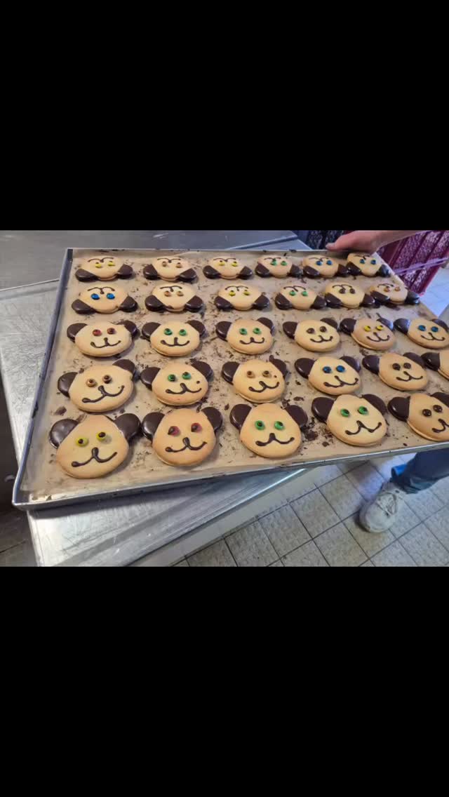 Raus aus dem Klassenzimmer, rein in die Backstube 👩🍳👨🍳Mit den BVJ-Klassen A & ....