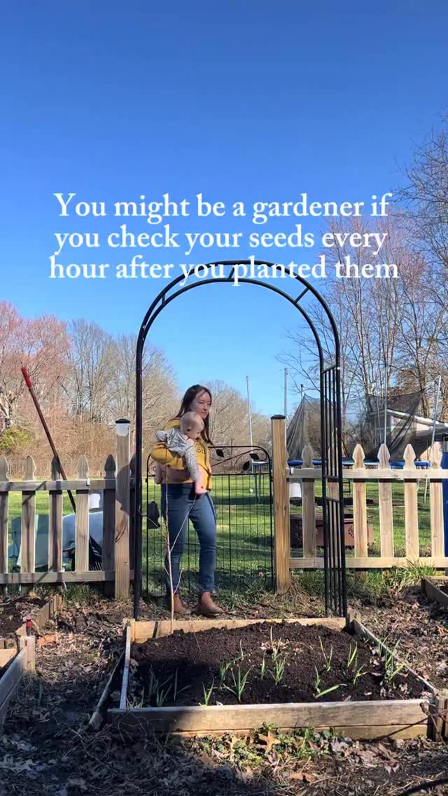 Honestly, I maintain that adhd is GREAT for gardening. Binge planting, binge weeding, binge harvesting - it was made for us??