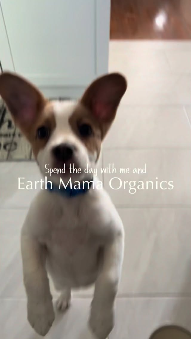 @earthmamaorganics JUST LAUNCHED their breastfeeding support products. With zero fenugreek, only true nutritious ingredients for the most support for you and your baby❤️
https://get.aspr.app/SH12du