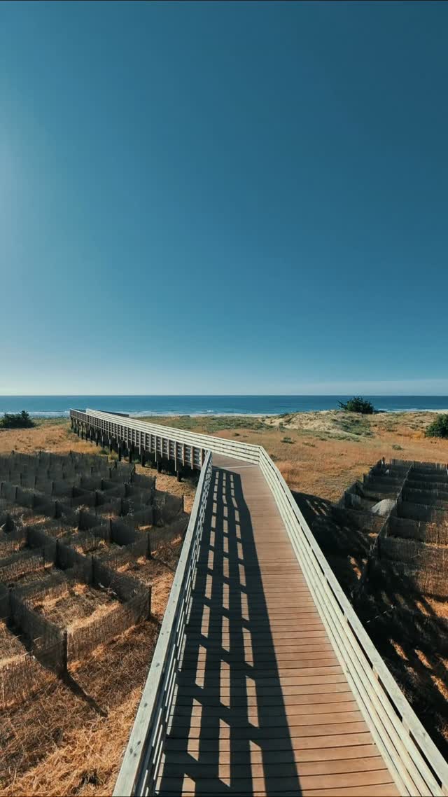 Spiaggia, mare e libertà visti dall’alto.
Un video drone che racconta la bellezza semplice di un momento perfetto.
#drone #stoploop #spiaggia #mare #dji