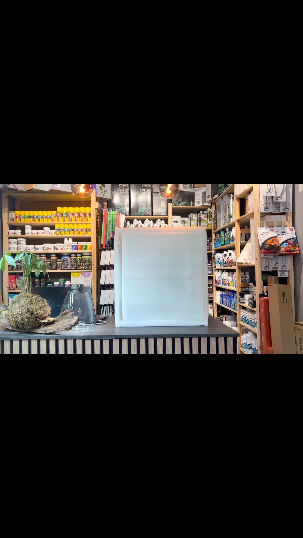 Os mostramos un Reactor para alimento vivo, Easy Reactor 4 litros de @easyreefs distribuido por @blueclownfish .
〰️〰️〰️〰️〰️〰️〰️
Easyractor 4L es un reactor bicilíndrico de forma troncocónica, diseñado específicamente para el cultivo semiautomático de rotífero o artemia a través de las bombas dosificadoras Easyfeeder, y una mezcla diferenciada, según la aplicación a las que se destine, de distintas especies de fitoplancton.
〰️〰️〰️〰️〰️〰️〰️
✅ Trabajando duro cada día para ser vuestra mejor opción
〰️〰️〰️〰️〰️〰️〰️
?Plaza La Constitución 3, Alcorcón
〰️〰️〰️〰️〰️〰️〰️
? www.aquasalvaje.com
〰️〰️〰️〰️〰️〰️〰️
@theaquariumproject_ @aruedasaiz @blueclownfish @easyreefs
〰️〰️〰️〰️〰️〰️〰️
#aquasalvaje #aquarium #madrid #alcorcon #aquascaping #aquascape #aquariumdesign #acuarioplantado #aquariumhobby #aquascaper #reef #reeftank #reefaquarium #reefaddict #reefbuilders #reeftanks #reeflife #reefing #phyto #phytonutrients #saltwater #saltwateraquarium #acuariodulce #acuariomarino #acuariomarinoespaña #aguasalada #acuariofilia #acuariofiliaespaña #acuariofiliamadrid #acuariofiliamarina