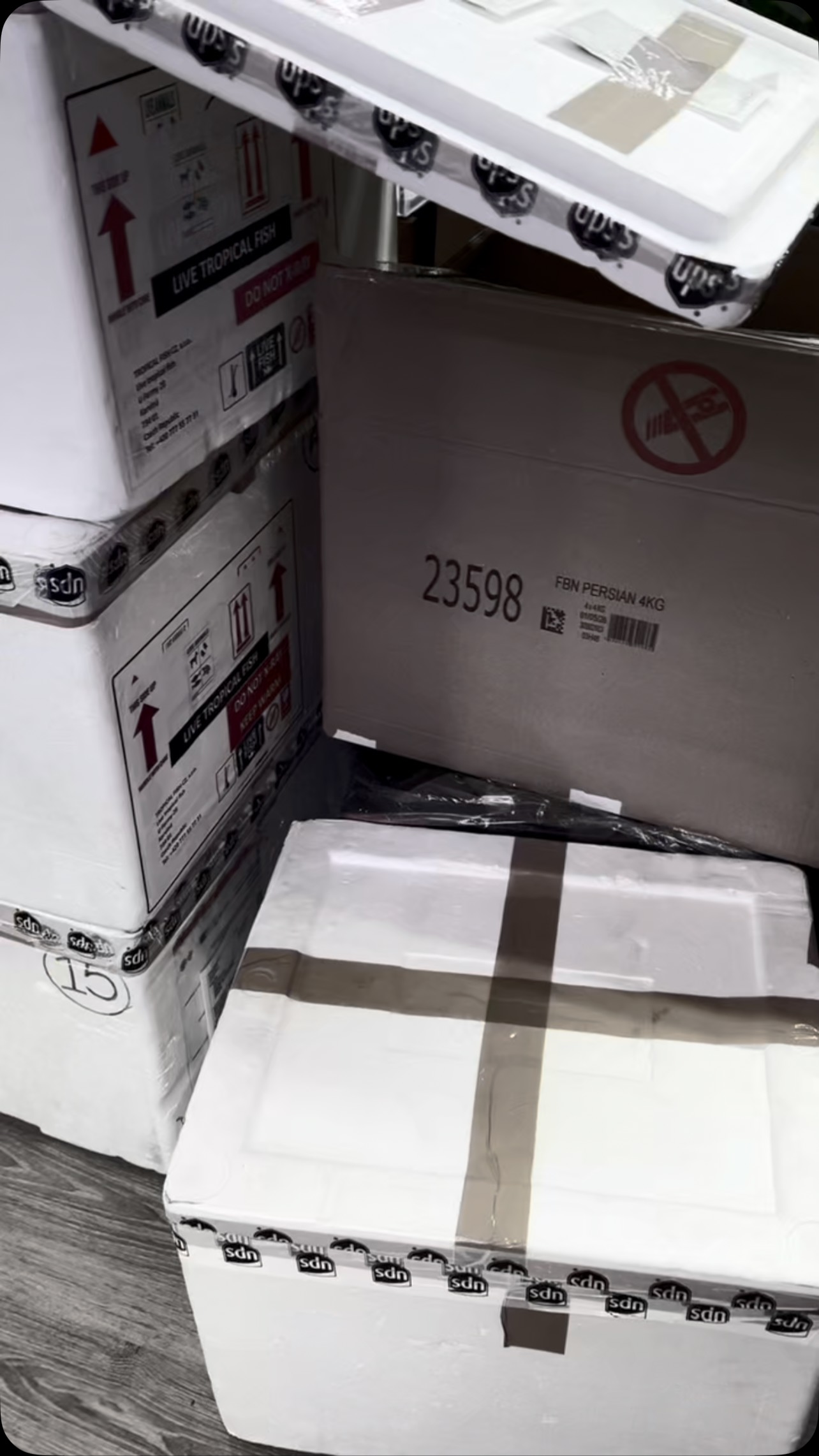 Bolsas, bolsas y más bolsas… más de 950 peces en esta semana, Traemos de Alemania 7 cajas cargadas con algunas cositas muy chulas! Atent@s!!! ??〰️〰️〰️〰️〰️〰️
✅ Trabajando duro para ser tu mejor opción.
〰️〰️〰️〰️〰️〰️
? Plaza La Constitución 3, Alcorcón
〰️〰️〰️〰️〰️〰️
? www.aquasalvaje.com
〰️〰️〰️〰️〰️〰️
#aquasalvaje #aquarium #madrid #alcorcon #aquascaping #aquascape #aquariumdesign #acuarioplantado #aquariumhobby #aquascaper #fishtanks #aquariumfishtank #aquariumfish #pecesdecolores #pecesdeaguadulce #pecesdeacuario #acuario #acuariofilia #peces #pecestropicales