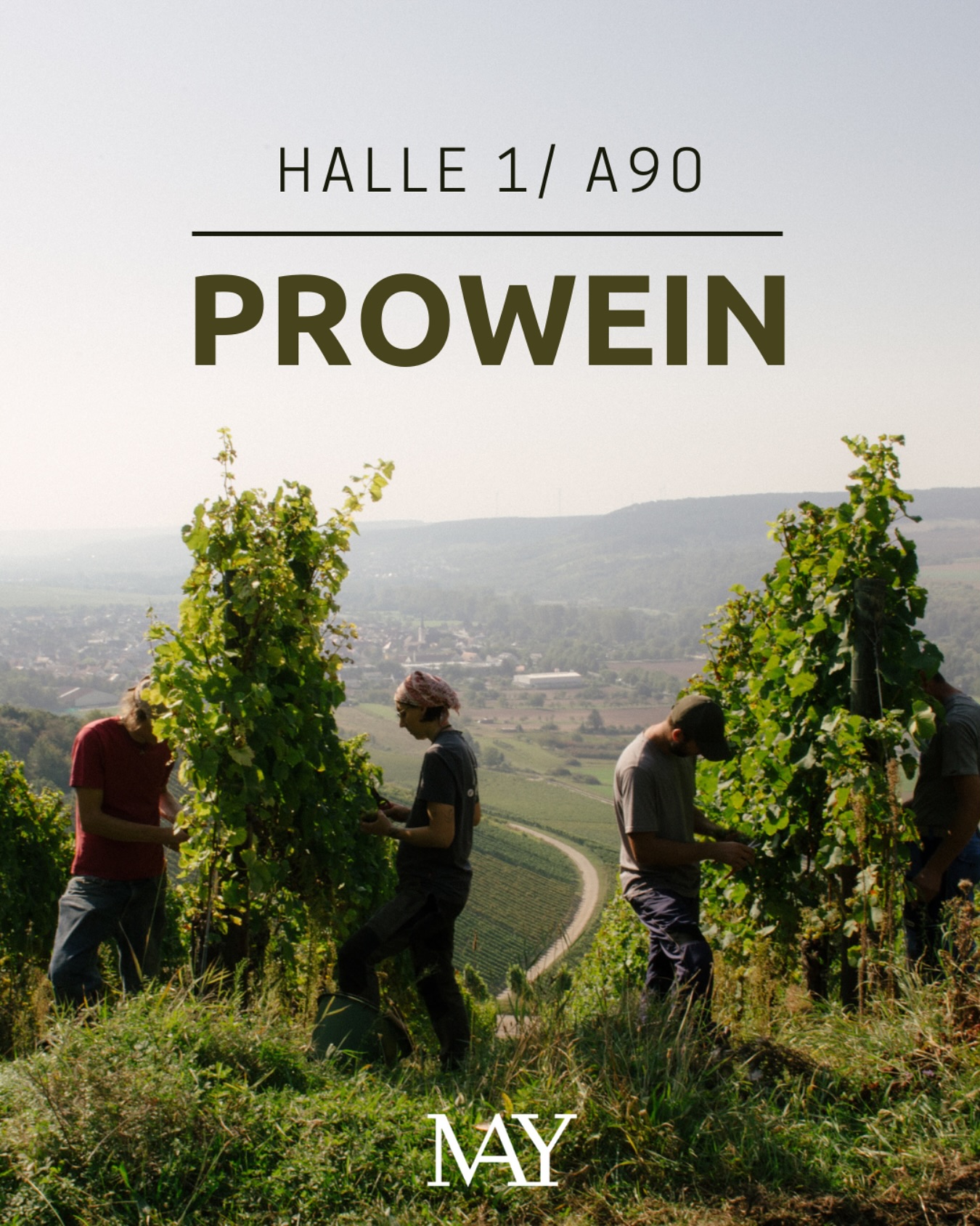 ProWein 2025 - wer kommt vorbei??Ihr findet uns in der Halle 1, Stand A90 (VDP Bio Stand).
?: @manoeleis