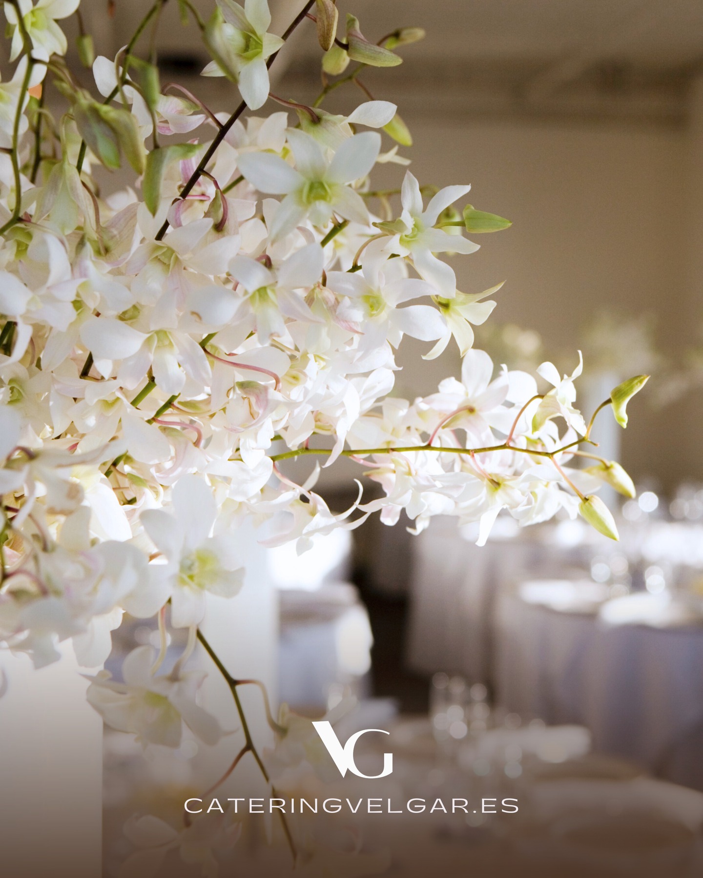La decoración floral siempre tendrán la capacidad de transformar cualquier evento en un espacio acogedor para tus invitados.
Amamos lo que hacemos
www.cateringvelgar.es
holavelgar@gmail.com
(+34) 625 982 470
VELGAR Catering & Events ®
© Copyright todos los derechos reservados