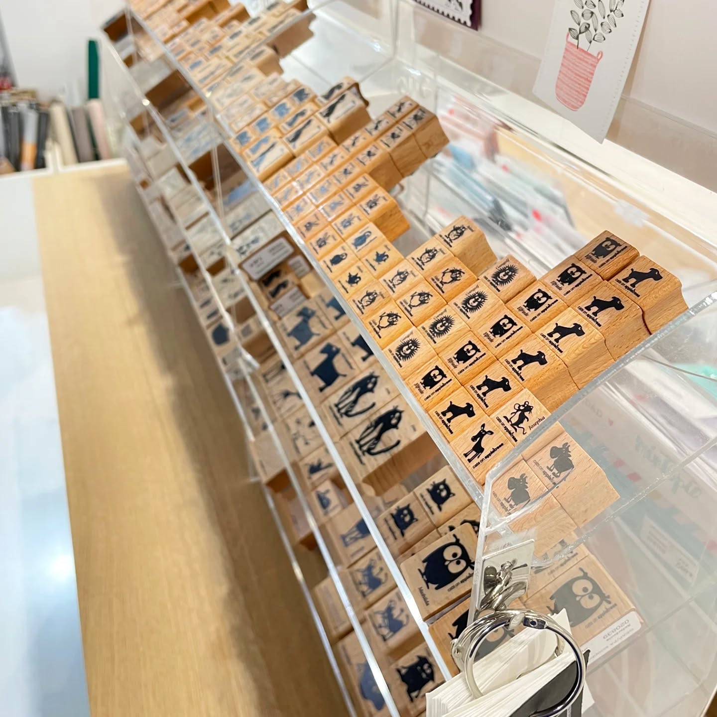 ❤️ Sellos ❤️
Nos encanta ver cómo lucen los sellitos de @catsonappletrees en su expositor para los más pequeños. Y los más grandes en sus estanterías ?
¿Y tú? ¿Ya los has visto en directo?
#grappascrapbooking #sellos #stamps #catsonappletrees #tienda #barcelona