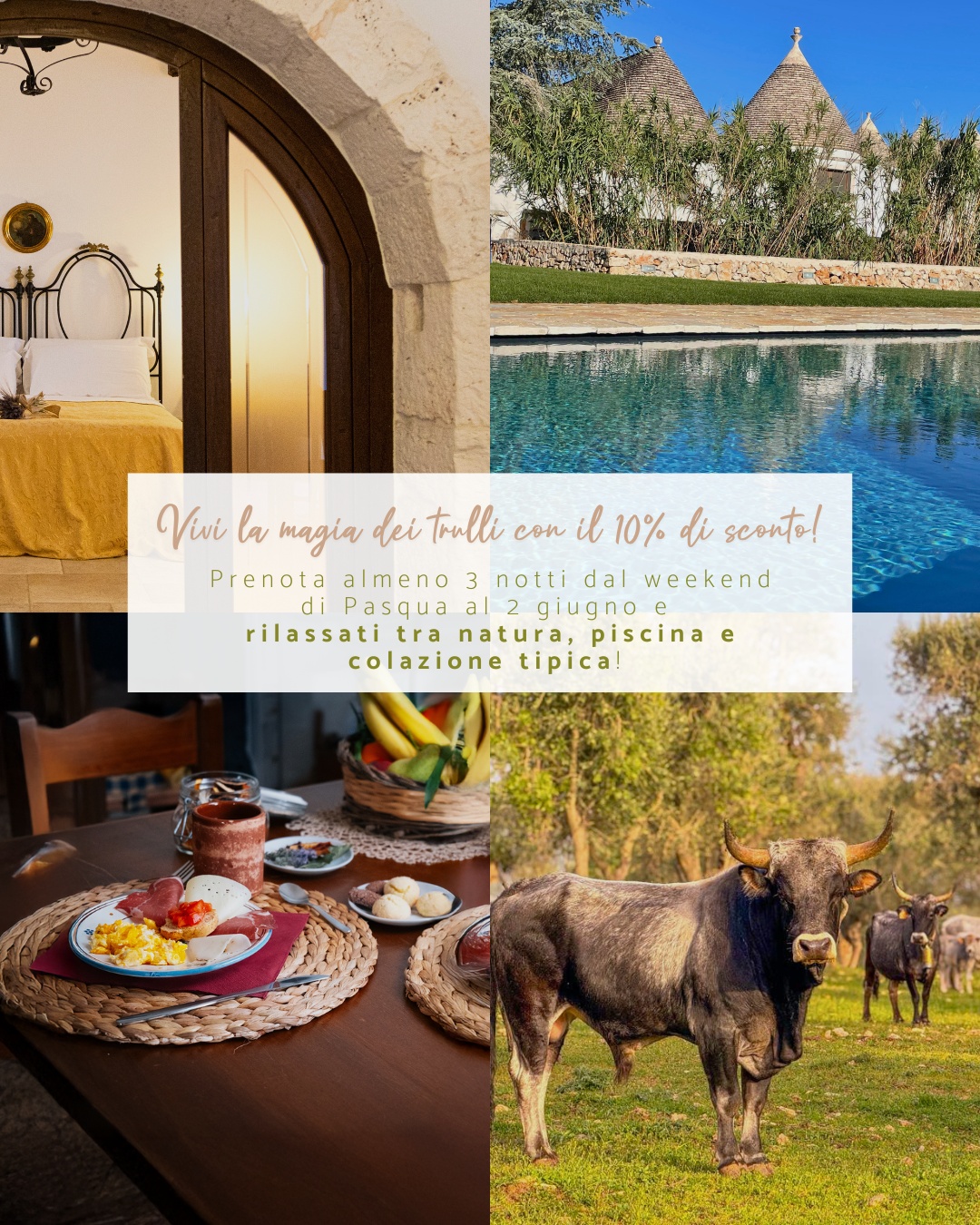Regalati un soggiorno autentico nella splendida Masseria Pilano, immersa nella natura tra ulivi secolari e il fascino senza tempo dei trulli. ?
? Offerta Speciale Primavera ?
? Prenota almeno 3 notti dal weekend di Pasqua fino al 2 giugno e approfitta del 10% di sconto sul tuo soggiorno!
Cosa ti aspetta?
✔ Pernottamento in trullo autentico ?
✔ Colazione con prodotti locali ☕?
✔ Relax in piscina immersa nel verde ?♂?
✔ Esperienza unica tra natura e tradizione pugliese ?
? Promo valida fino al 2 giugno. Prenota ora e vivi la Puglia come mai prima d’ora!
? Masseria Pilano – Dove il tempo si ferma e la bellezza resta.
? Prenota ora! https://booking.smoobu.com/9A212325