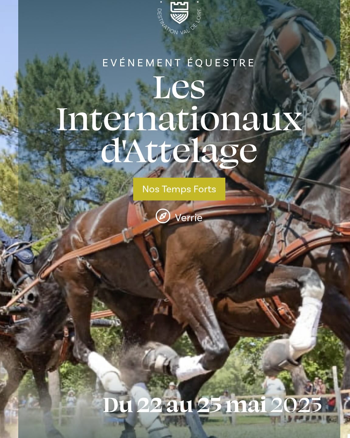 Maison Poursin aux Internationaux d’Attelage de Saumur- 40 eme édition du 22 au 25 Mai 2025!
Prix Poursin - exposition Poursin sur le site.
#attelagepassion #attelageponey #attelagesaumur #hippodromedeverrie