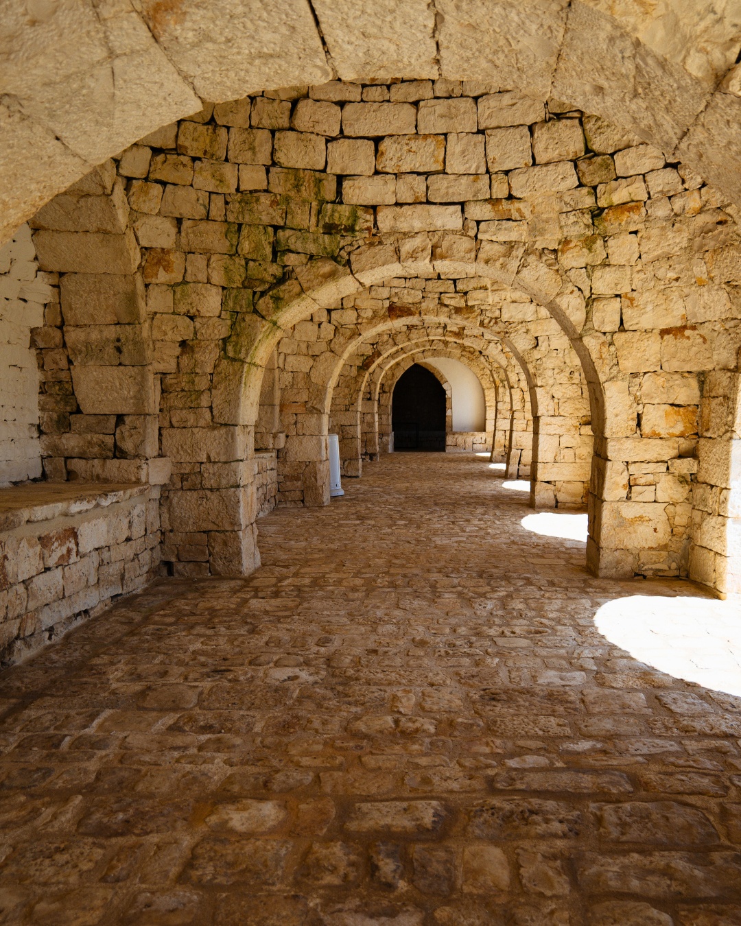? Tra i silenzi della campagna pugliese, si nasconde un angolo senza tempo…
I nostri trulli antichi, restaurati con amore, raccontano storie di pietra e sole.
Vieni a vivere l’autenticità della Puglia: tra natura, tradizioni e ospitalità sincera ??
✨ Scrivici per info o prenota il tuo soggiorno da sogno.
#MasseriaPilano #Trulli #Puglia #VacanzeAutentiche #EsperienzeUniche
? Wedding & Events
? Stay in Nature
? Experiences
☎️ 099 613 107
? info@pilano.it
? tiny.cc/nelcuoredellapuglia
Il tuo evento, la tua esperienza, il tuo angolo di Puglia con un cuore innovativo ✨