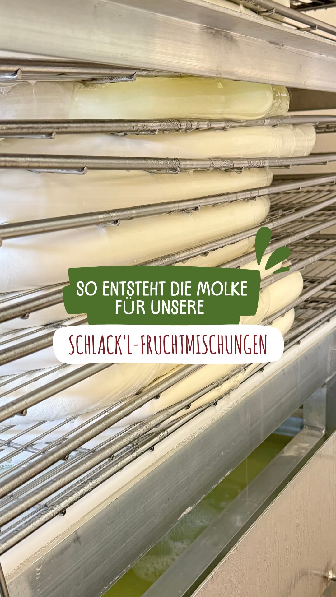So entsteht unsere Molke ?
Bei der Herstellung unseres Kochkäs’ fällt ganz natürlich Sauermolke an – ein Nebenprodukt, das beim traditionellen Auspressen des Magerquarks in Leinensäcken entsteht. Ganz wie früher, mit viel Handarbeit.
Reine Sauermolke ist nicht jedermanns Geschmack – wir machen trotzdem was Gutes draus: Mit echter Frucht verfeinert, wird daraus unsere SCHLACK’L Molke-Fruchtmischung – leicht, erfrischend und gesund.
?? Schon gewusst? Unsere Oma wusste schon: Molke ist ein echtes Naturtalent. Früher als Hausmittel geschätzt, heute wieder voll im Trend – und das aus gutem Grund:
? Voller Mineralien, Vitamine & Eiweiß
Molke steckt voller Kalzium, Kalium und Vitamin B2 – bei kaum Kalorien. Hochwertiges Eiweiß inklusive. Eine kleine Nährstoffbombe – ganz ohne Zusätze.
?? Unterstützt Verdauung, Leber & Muskeln
Milchsäure bringt die Darmflora ins Gleichgewicht. Aminosäuren fördern die Muskelregeneration und tun auch der Leber gut.
? Pflegend für Haut & Haar
Molke beruhigt gereizte Haut, unterstützt die Regeneration und verleiht dem Haar Glanz – ganz ohne Chemie. Ein echter Geheimtipp bei Sonnenbrand oder trockener Kopfhaut.
? Auch deine Pflanzen lieben sie!
Verdünnt mit Wasser wird Molke zum natürlichen Dünger – besonders Tomaten, Zucchini & Co. freuen sich. Und gegen Mehltau wirkt sie auch.
Und weil wir nicht die ganze Molke zu SCHLACK’L verarbeiten, gibt’s die frische, reine Molke auch pur bei uns im Landlädchen.
#MolkeMitMehrwert #SchlacklLiebe #NatürlichGesund #OmasGeheimtipp #OdenwälderKochkäserei