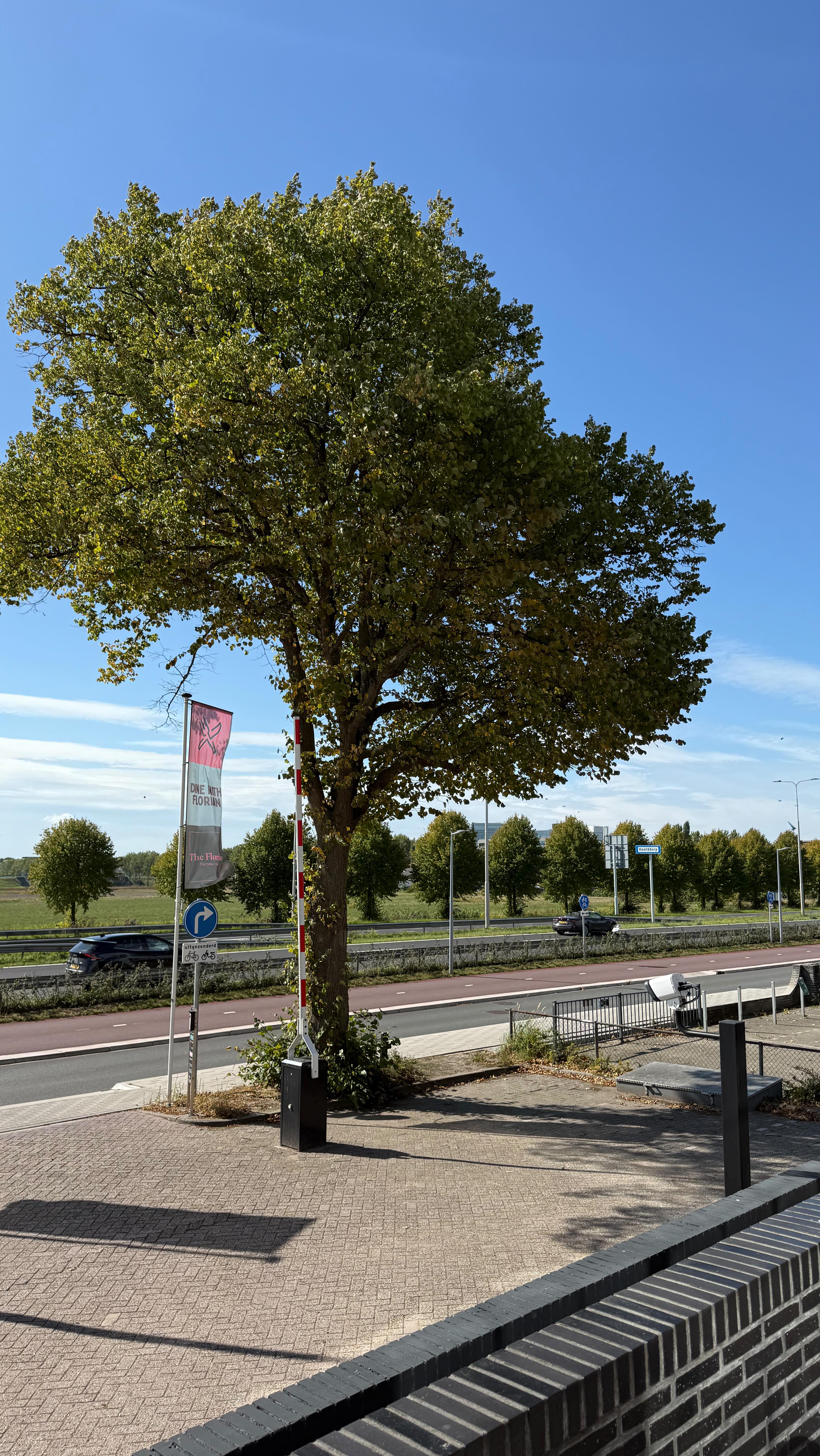 Sustainable Excellence at The Florian ?
At The Florian Hotel, sustainability isn’t just a goal—it’s part of who we are. ? From green energy to innovative eco-projects, we’re proud to create a stay that’s both comfortable and responsible.
Because every conscious choice makes your stay better for the planet. ?✨
#TheFlorianHotel #SustainableExcellence #EcoFriendlyHospitality #GreenKeyGold #HotelsForTrees #SustainableTravel #EcoTravel #ConsciousTravel #SustainableHotel #SolarEnergy #EcoAmenities #Dopper #EcoTapWater #DripDropUmbrellas #TravelGreen #FutureOfHospitality #EcoConsciousLiving #GreenHotel #SustainableLifestyle #EcoChoice #PlanetFriendly #HoofddorpHotel