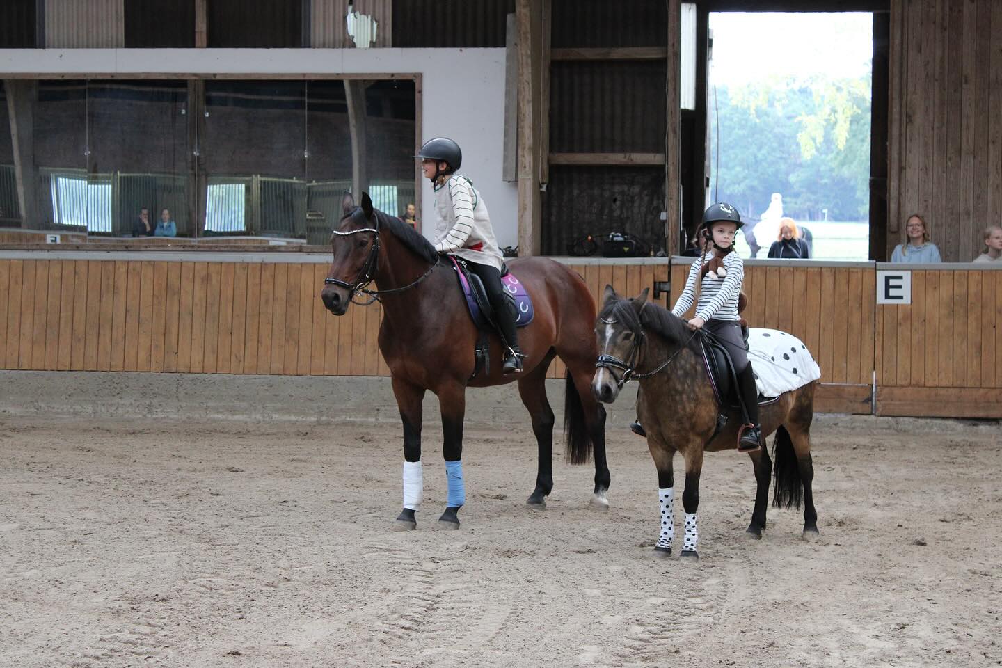 ? 70. Jubiläum ?
Am vergangenen Samstag haben wir zusammen mit den Vereinsmitgliedern, Ehrenmitgliedern und Nachbarvereinen unser 70 jähriges Vereinsbestehen gefeiert. ?
Nach den Vorstellungen von Reitern und Voltigierern fand im Anschluss der Wettkampf der Vereine statt. ?
#verein #reiten #voltigieren #gemeinschaft #gäste #jubiläum2025