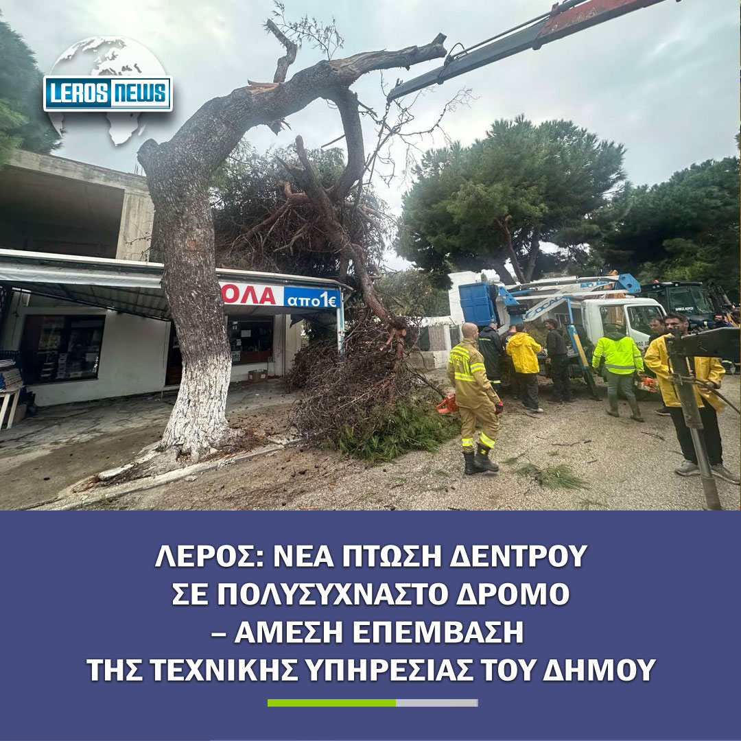 Λέρος: Νέα πτώση δέντρου σε πολυσύχναστο δρόμο – Άμεση επέμβαση της Τεχνικής Υπηρεσίας του Δήμου
---
Διαβάστε περισσότερα στο LEROSNEWS.GR
https://tinyurl.com/2p9w5hv5 Λέρος: Νέα πτώση δέντρου σε πολυσύχναστο δρόμο – Άμεση επέμβαση της Τεχνικής Υπηρεσίας του Δήμου
---
Διαβάστε περισσότερα στο LEROSNEWS.GR
https://tinyurl.com/2p9w5hv5