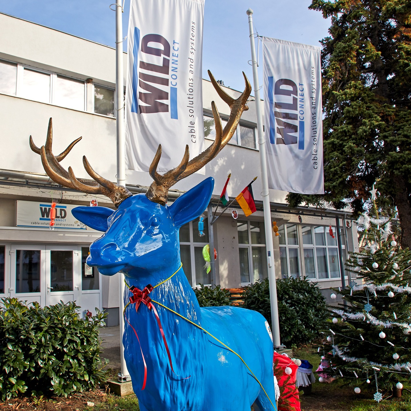 BORN TO BE WILD - Bilder sagen mehr als tausend Worte...unsere Weihnachtsfeier in Gyöngyös 🎉
BORN TO BE WILD - Pictures say more than a thousand words... our Christmas party in Gyöngyös 🎉
SZÜLETTÜNK A VADÁSZATHOZ - Egy kép többet mond ezer szónál... a karácsonyi bulink Gyöngyösön 🎉