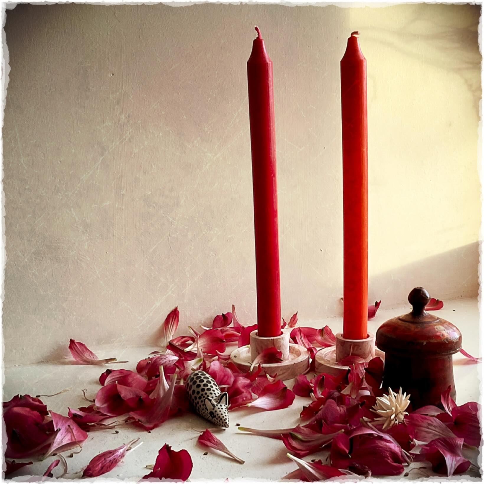 🌺
I first posted pics of my pretty gifted flowers on 5th November.
Yesterday was shed-all-the-petals day - such beauty in decay.
.
#wednesdaywindowsill
#wabisabibeauty 🌺
I first posted pics of my pretty gifted flowers on 5th November.
Yesterday was shed-all-the-petals day - such beauty in decay.
.
#wednesdaywindowsill
#wabisabibeauty