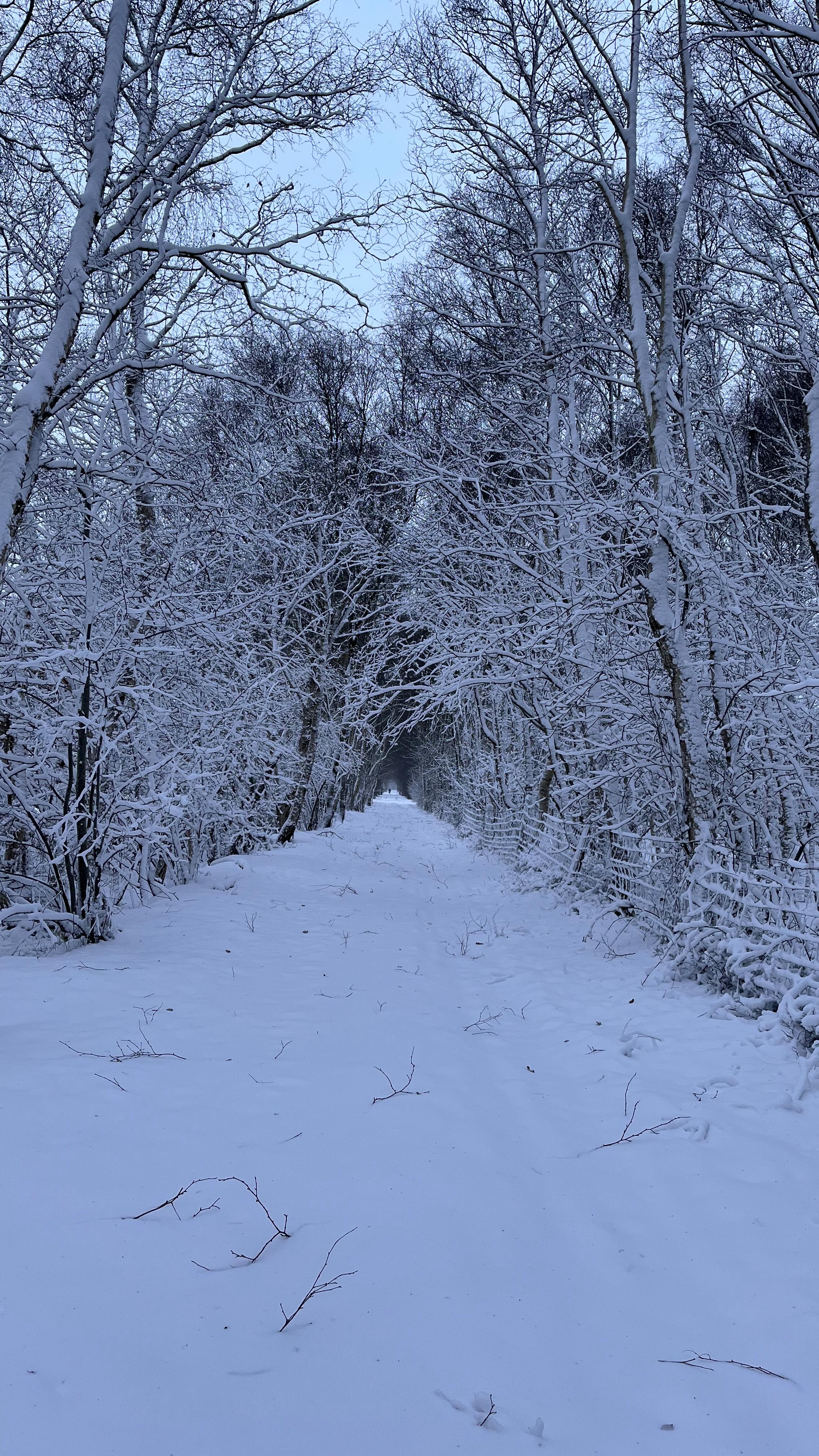 Das Ekerner Moor bei Hempen Fied ist auch im Winter ein schöner Ort für Spaziergänge ?
