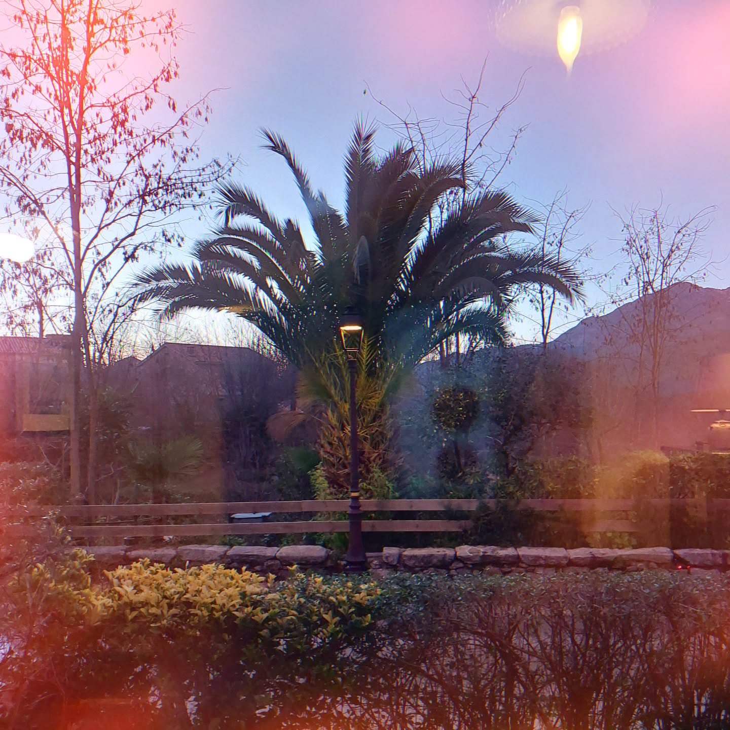 Le palmier du jardin Acquarius :) se plaît bien à 700mtrs d'altitude!
L'hiver nous impose son rythme et c'est très bien comme ça.
Plus que quelques semaines avant une pause bien méritée.
L'atelier/Boutique/Salon de Thé fermera le 1er février pour rouvrir en mars. Le temps de recharger nos batteries, terminer la confection de la collection printemps été et confectionner de bonnes confitures côté Romain avec Jamû ;)
Bref nous serons tout de même bien actifs!...
D'ici là nos horaires sont quasiment les mêmes qu'avant 10h/18h30, du mardi au dimanche.
À très bientôt pour un thé au chaud, un cadeau à acheter, ou simplement nous faire un coucou ;)
Xxx
#madeincorsica #slowfashion #maitreartisan