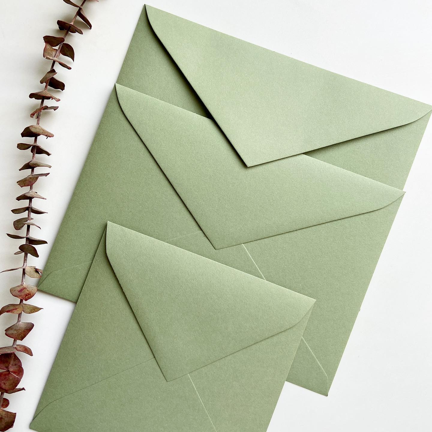 GREENERY ? El color que está arrasando esta temporada ? Y nosotros encantados, porque no nos puede gustar más!! ?
#sobres #bodas #new #nuevoscolores #invitaciones #invitacionesdeboda #sobresverdes #sobrespersonalizados #sobresforrados #bodas2021 #bodas2022 #novios #novia #stationery #wedding #green #envelope