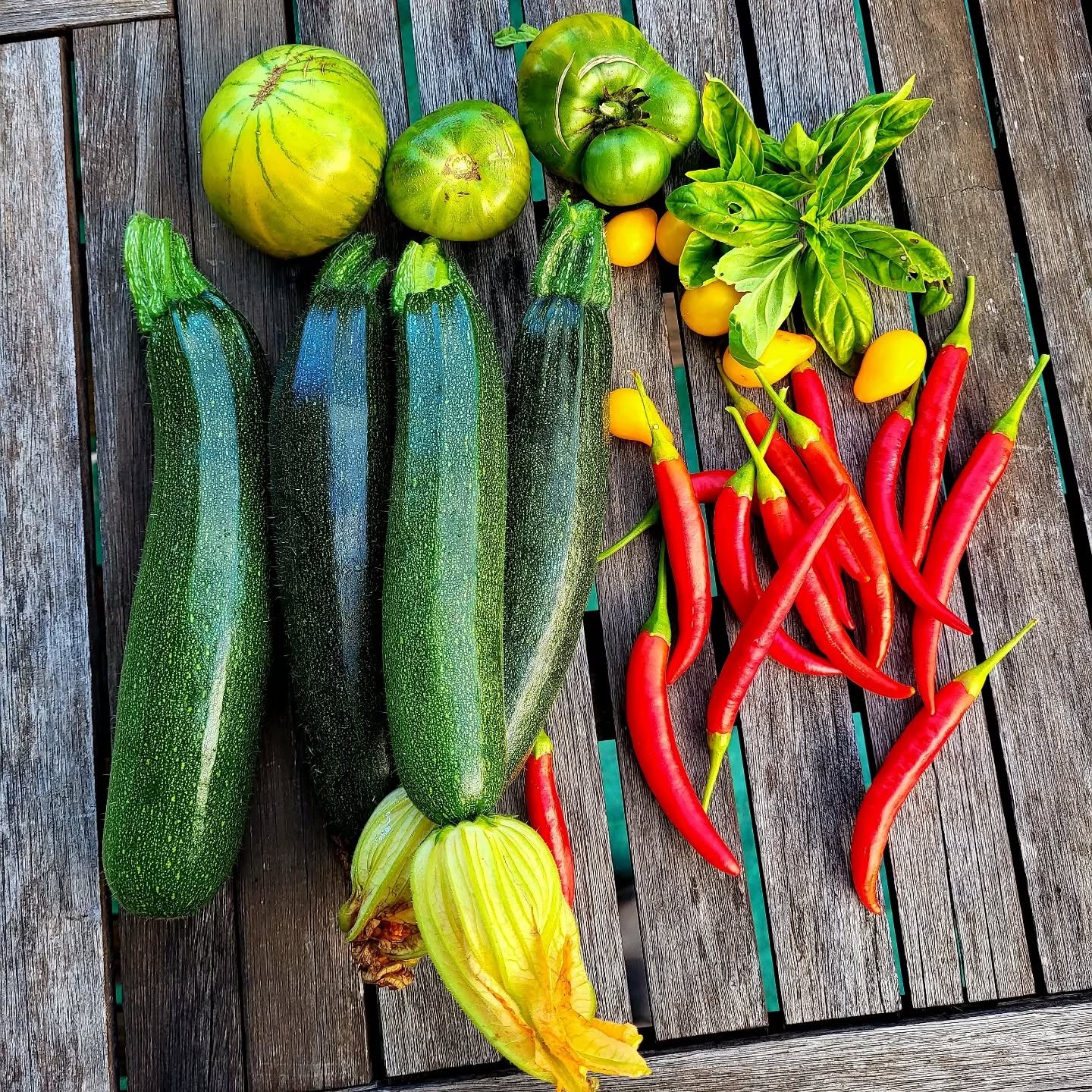 Récolte automnale d'été hier après-midi ?
Le potager nous réserve de belles surprises, avec cette belle chaleur qui a envie de rester et nous bercer encore un petit peu pour nous accompagner, tout doucement, vers l'hiver.
J'ai utilisé 2 piments pour chauffer le chili sin carne hier soir..
Les courgettes y passeront ce soir, mais je ne sais pas encore comment.. des idées ?
Belle journée à tous !
#recolte #potager #nature #naturopathe #naturopathe #jardin #simple #grateful #sain #local