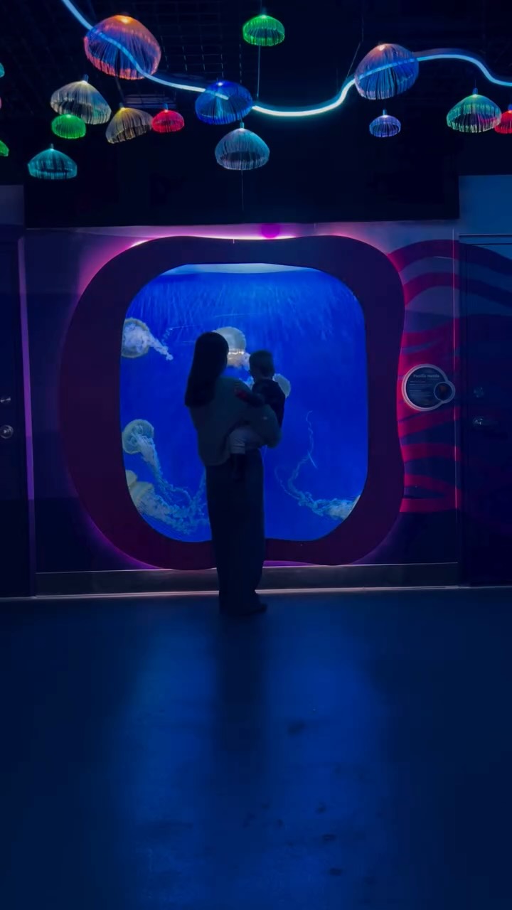 XXCLOSEDXX@newport_aquarium and I want to get you to the aquarium! WIN 4 Silver Memberships (Worth $275 Value) Including:
? Unlimited visits for a full year
? Discount On Penguin Encounters, Gift Shop, Cafe
? Exclusive First-Access to Special Events like Scuba Santa and Mermaids
TO ENTER:
Follow me and @newport_aquarium and share! (Don’t forget to tag me so I can see?)