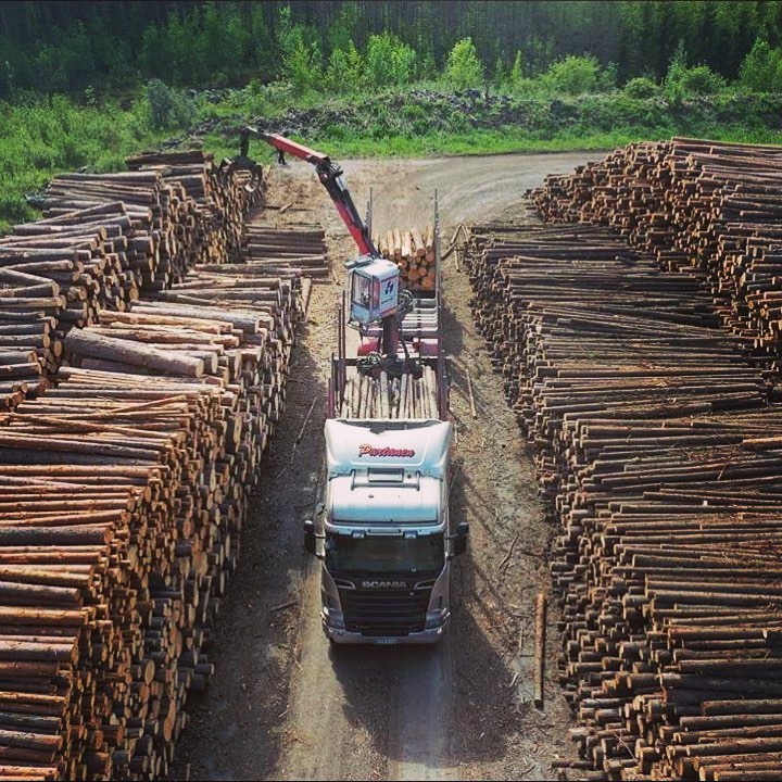 Kohta tulee taas kesä ja kärpäset. @scaniasuomi @palfinger_suomi #puutavarayhdistelmä #tukkirekka #niinhyvääpuuta #scaniatrucks #scaniapower #partasenkuljetusoy
