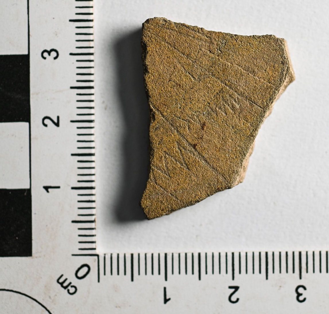 A tiny fragment of decorated stone, recovered last week during processing of environmental samples from Structure One’s floor deposits.