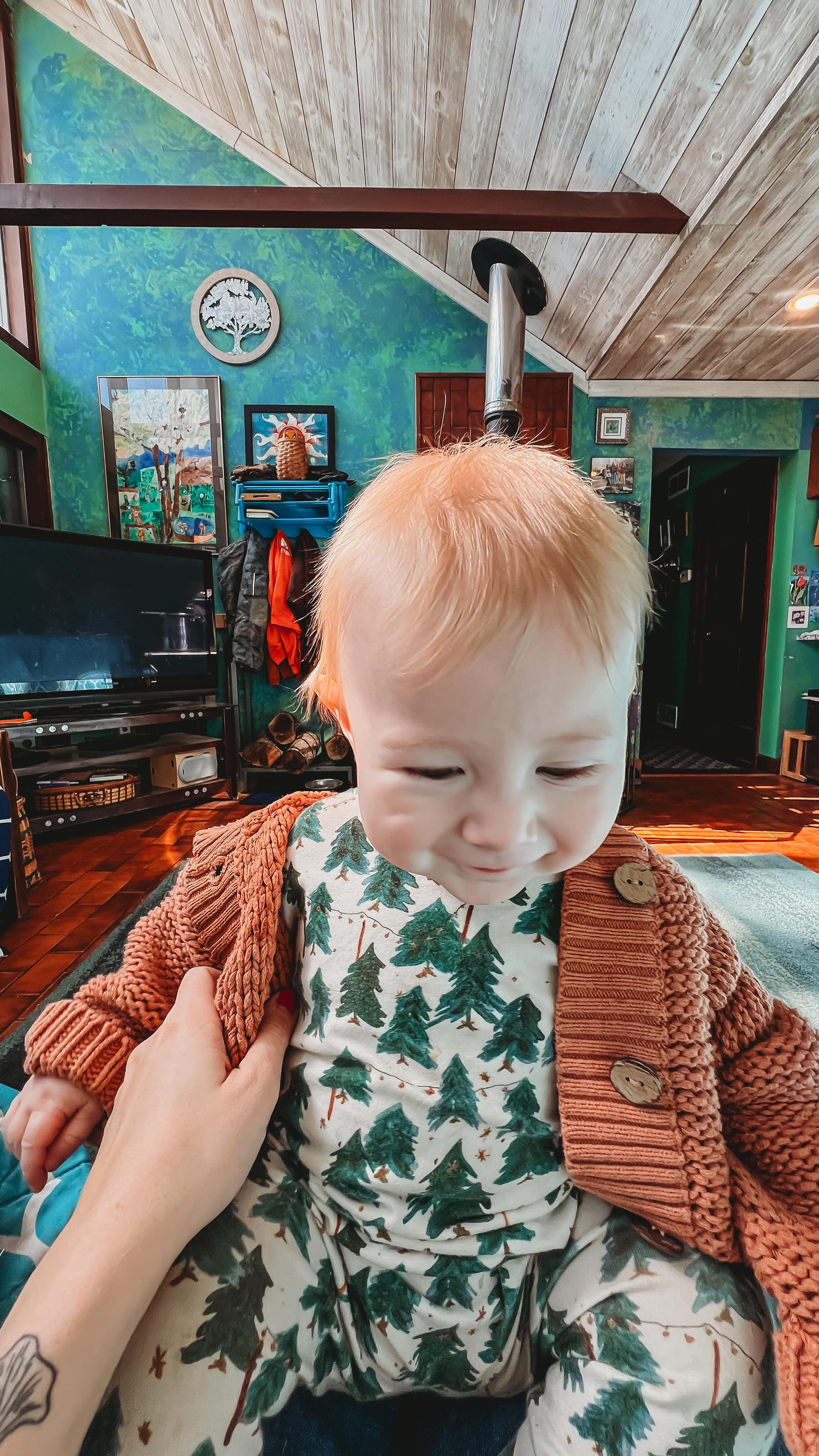 If you’re knowledgeable in planting native species, please pitch in!! I know I want edible of course, I want to follow food forestry principles, and I want to succeed the first time I plant ?
Check out @fastgrowingtrees https://checkout.fast-growing-trees.com/FGTASHLEY20