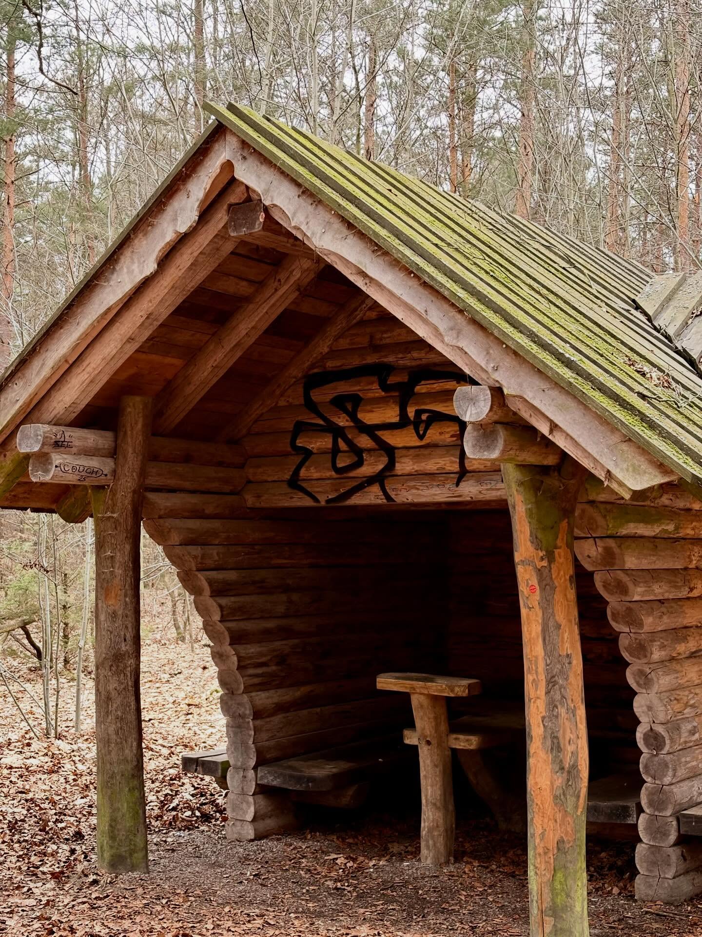 🧩📍 Fotorätsel – erkennt ihr diesen Spot?
👉 Wo wurde dieses Foto aufgenommen?
Schreibt eure Antwort in die Kommentare!
🤝 In gemeinsamer Kooperation mit dem @mtbmarathondresden möchten wir euch die Chance auf einen kostenlosen Startplatz ermöglichen! 🚵♂️🔥
💡 Hinweis: Der gesuchte Ort befindet sich in der Dresdner Heide – der Heimat des Marathons 😉
🎁 Unter allen richtigen Antworten wird der Startplatz verlost!
🔴 Bonus: Findet ihr den roten bike point Punkt? 👀
⏳ Teilnahme bis: Sonntag, 22.3.26
🏆 Der Gewinner wird per DM benachrichtigt
#bikepointdresden #fotorätsel #dresdnerheide #mtbmarathondresden #mtbmarathon