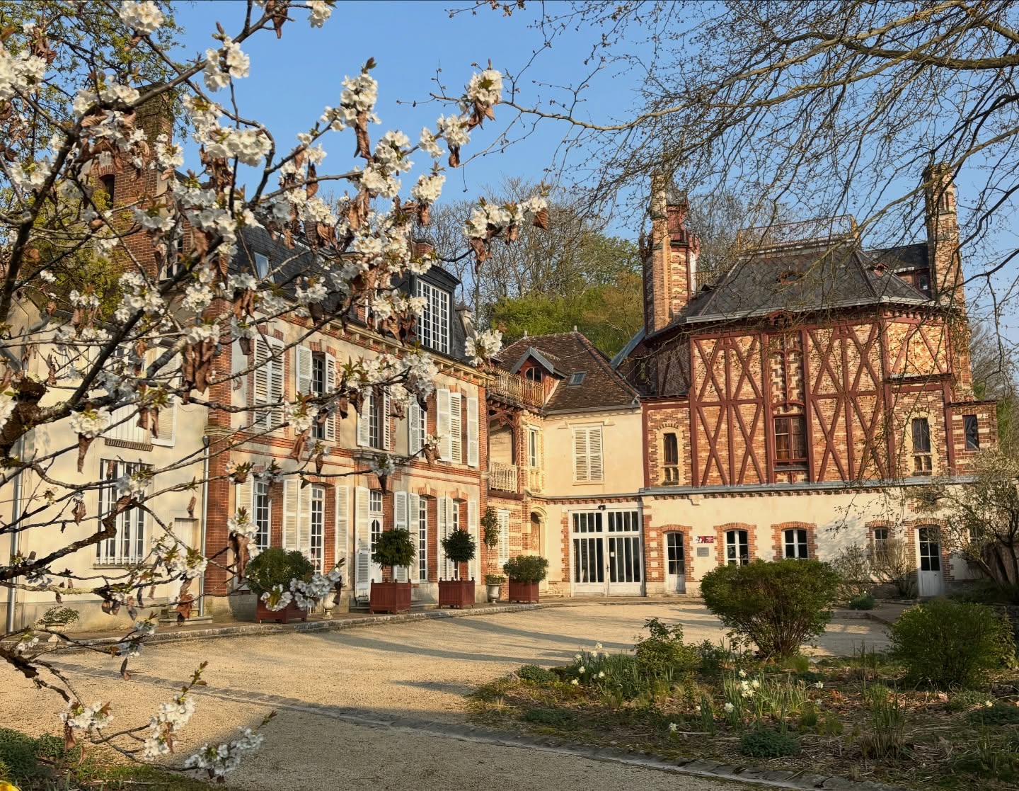 Venez célébrer le printemps au château de Rosa Bonheur !
#rosabonheur #chateaurosabonheur #museerosabonheur #printemps #tourisme
